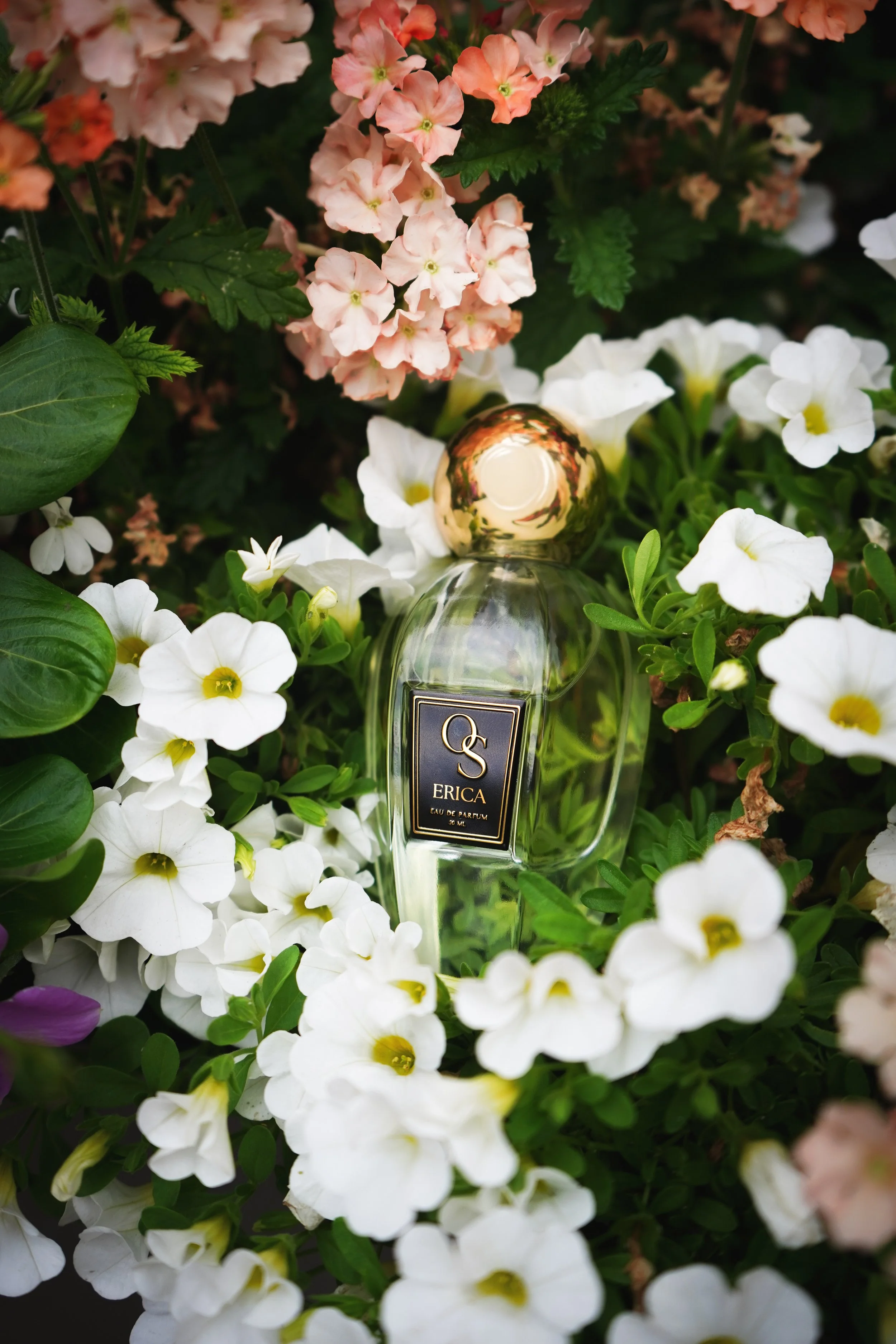 ERICA 50ML