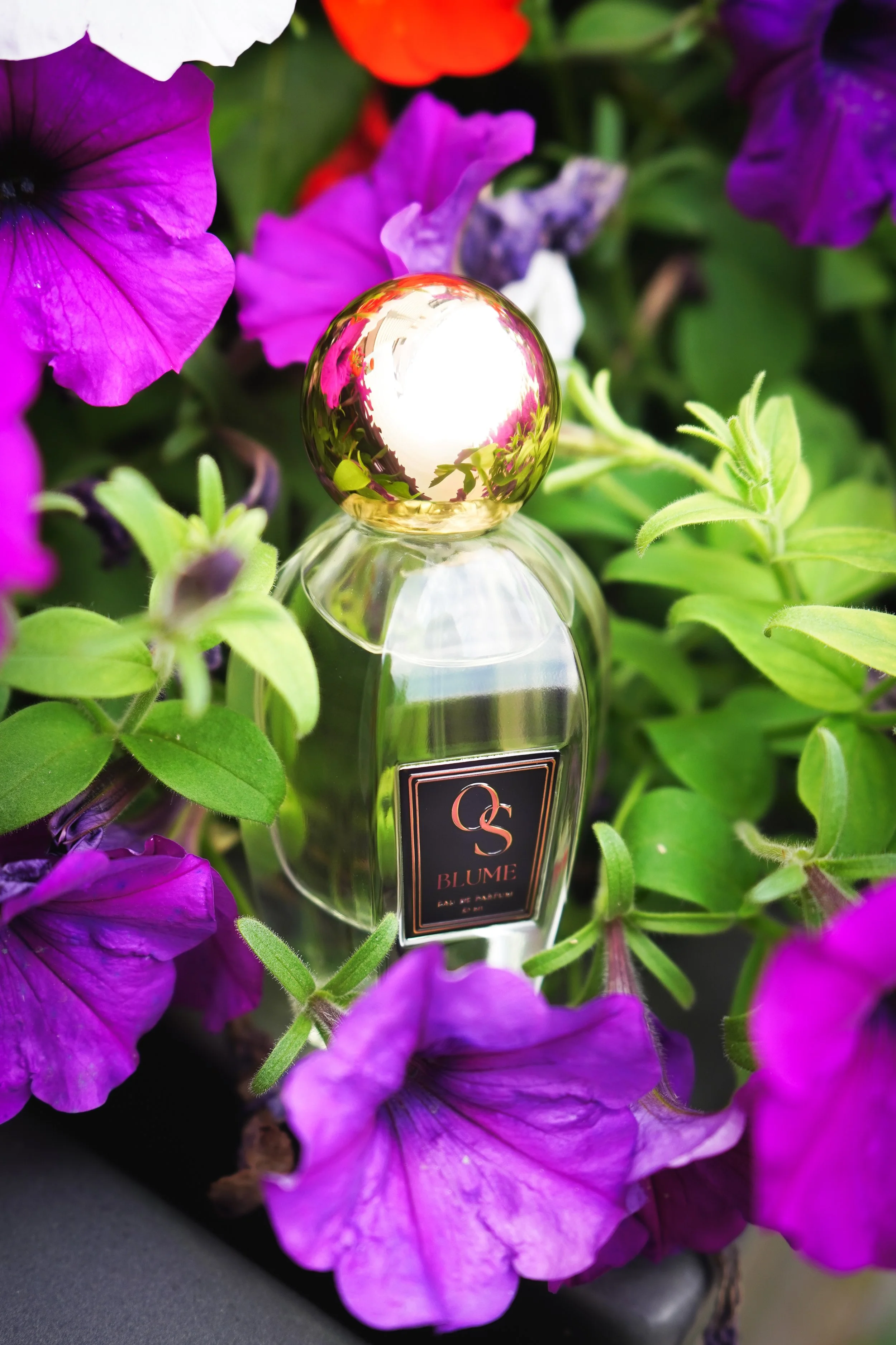BLUME 50ML
