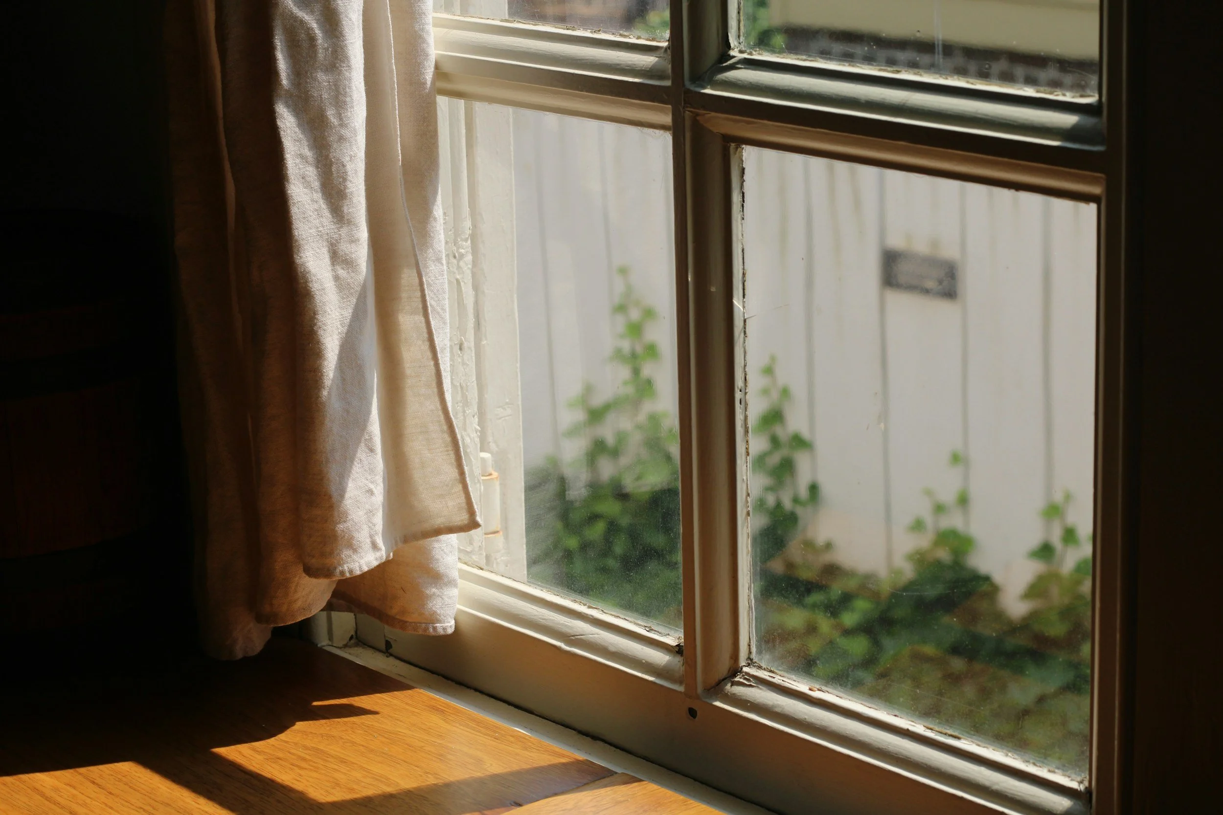 A window with white curtains partially drawn, sunlight casting shadows, and a view of green plants outside.