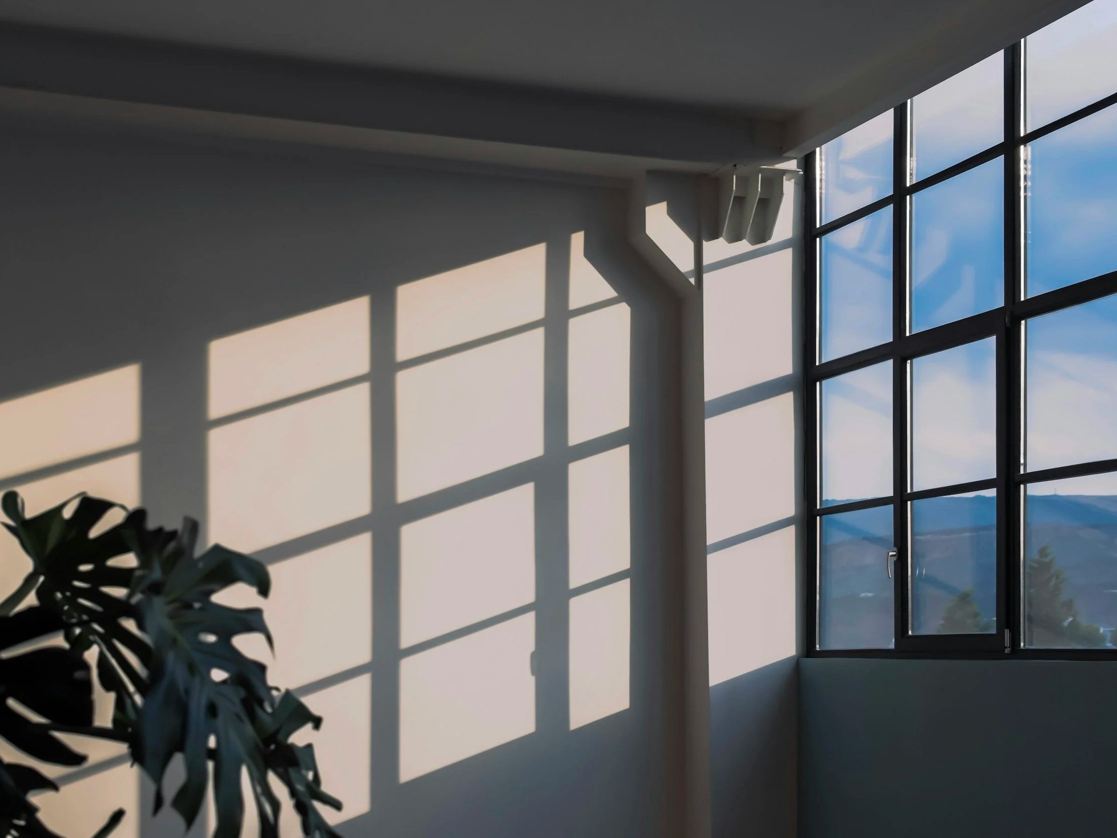 Tall sparkling-clean windows with sunlight casting grid shadows