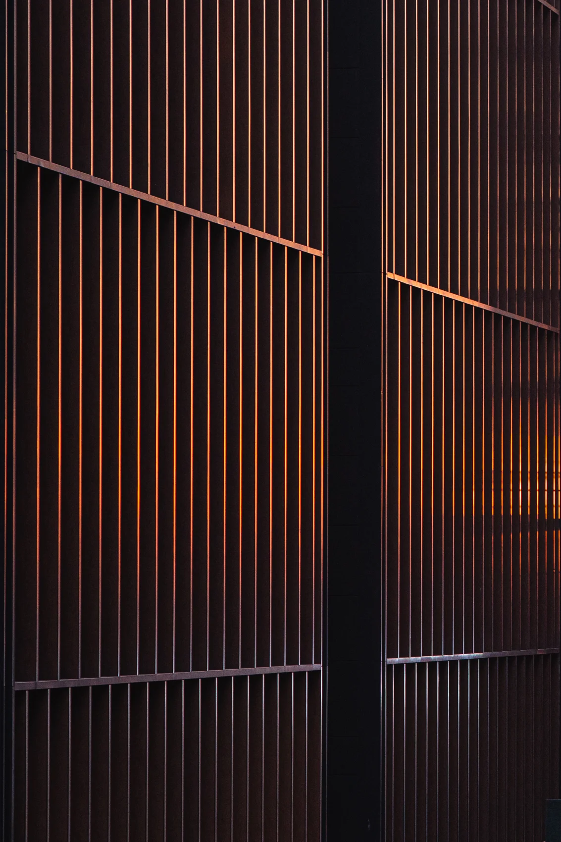 sunsetlines (1 of 1).jpeg