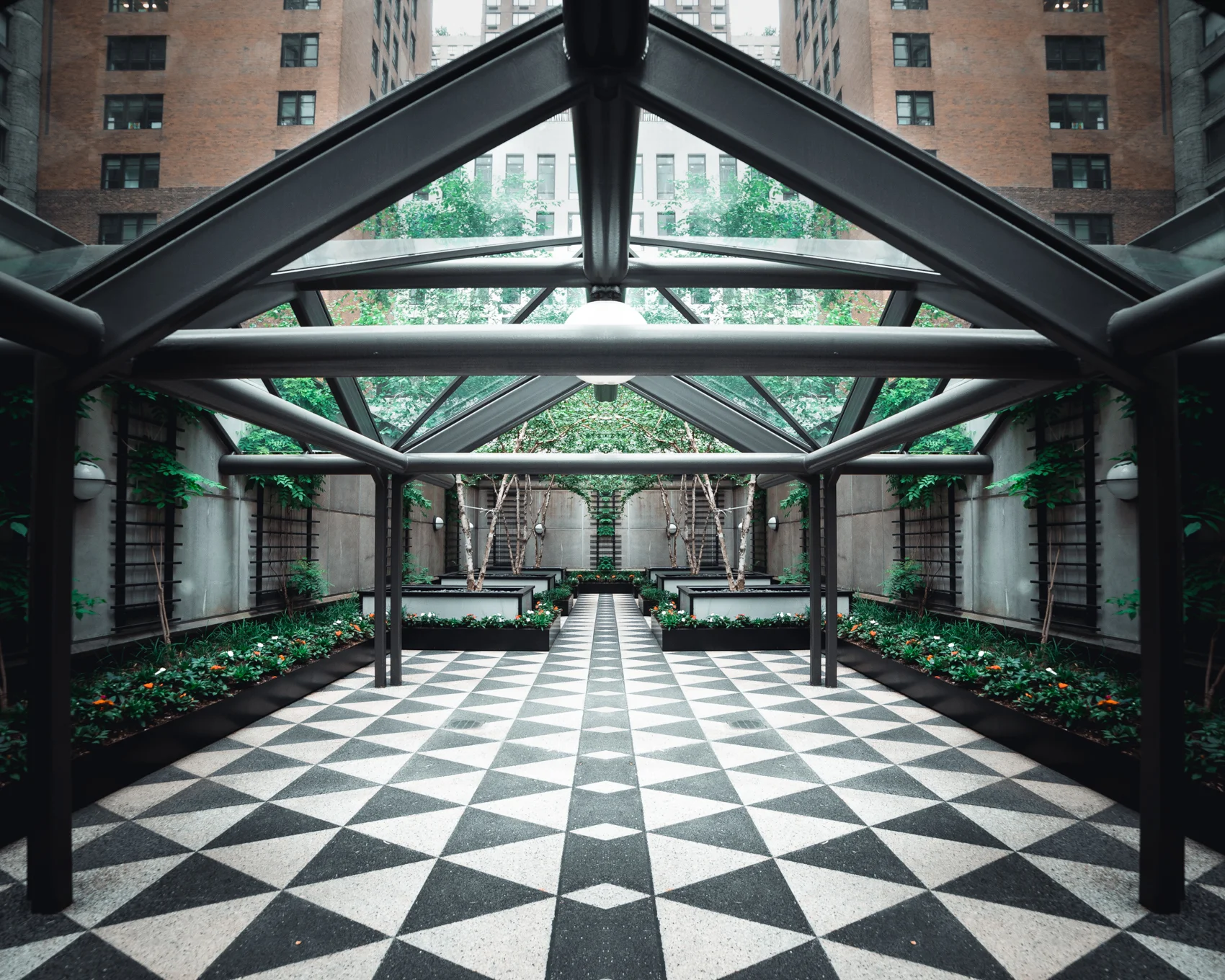 symmetry (1 of 1).jpeg