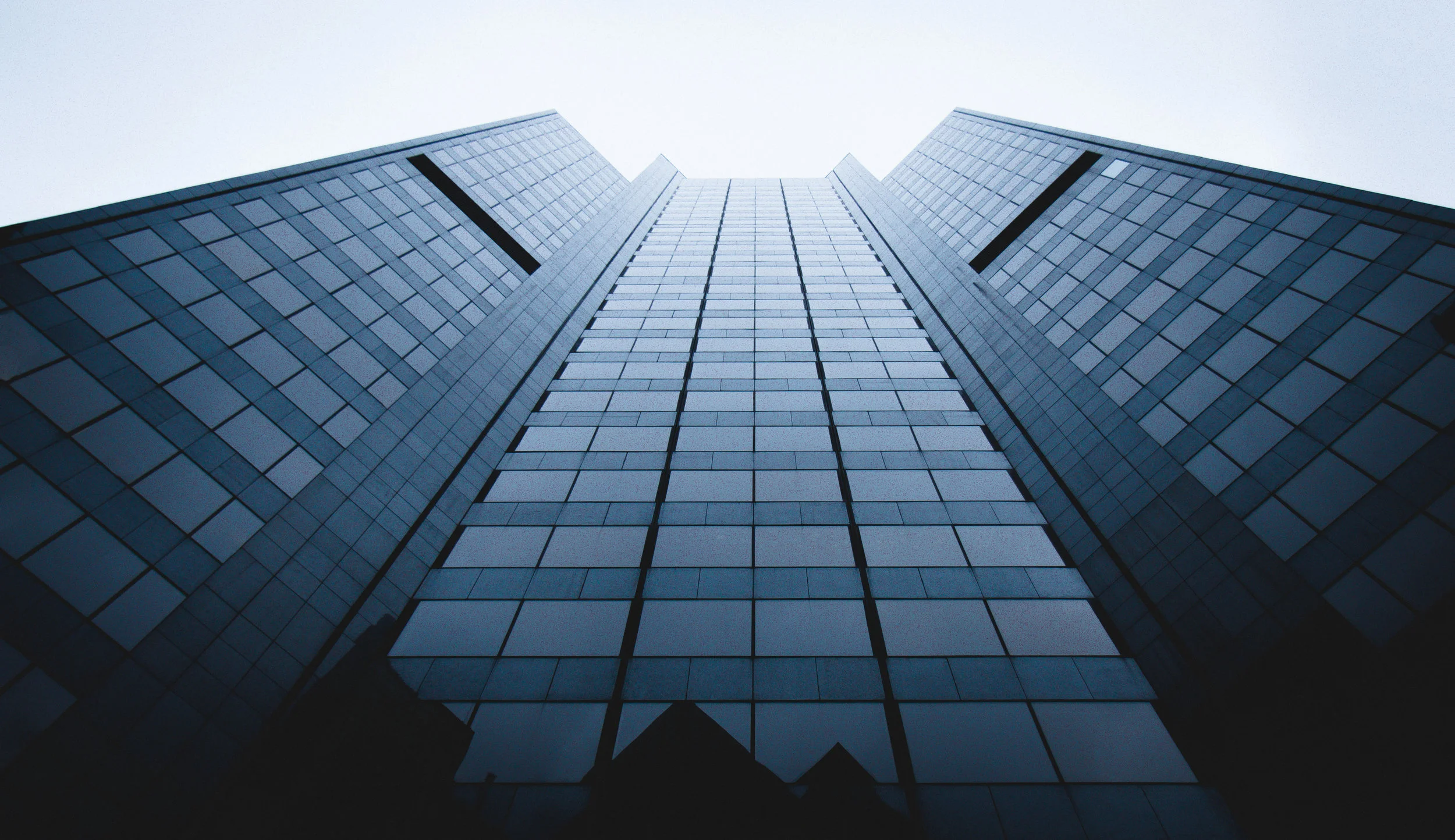 lookup (6 of 1).jpg