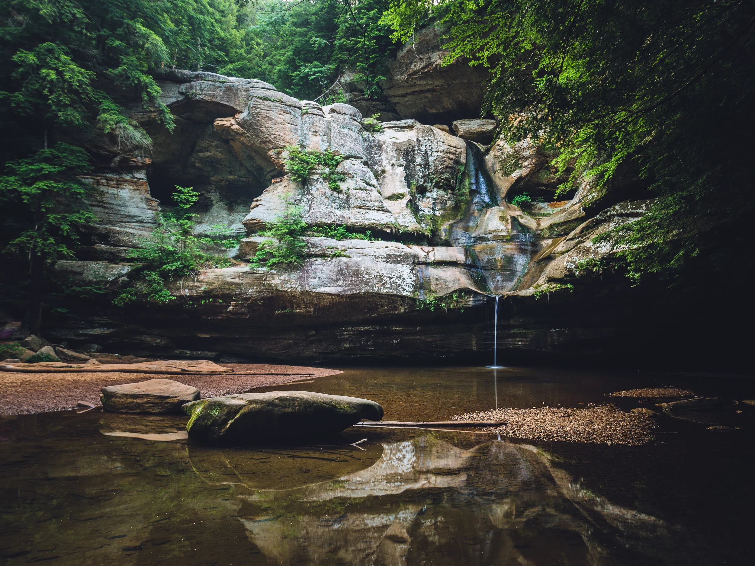 naturepool (1 of 1).jpg