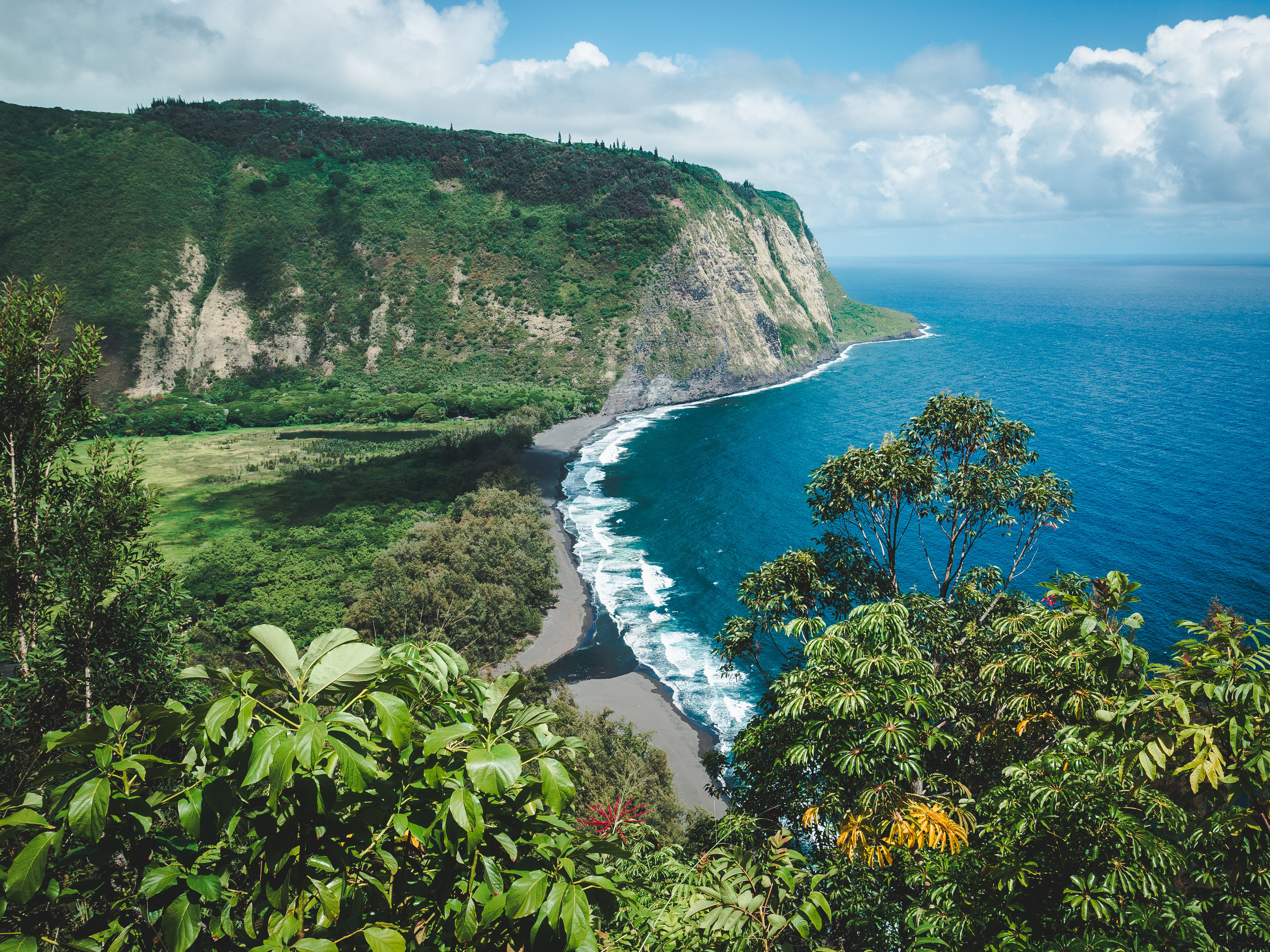 waipiovalley (1 of 1).jpg