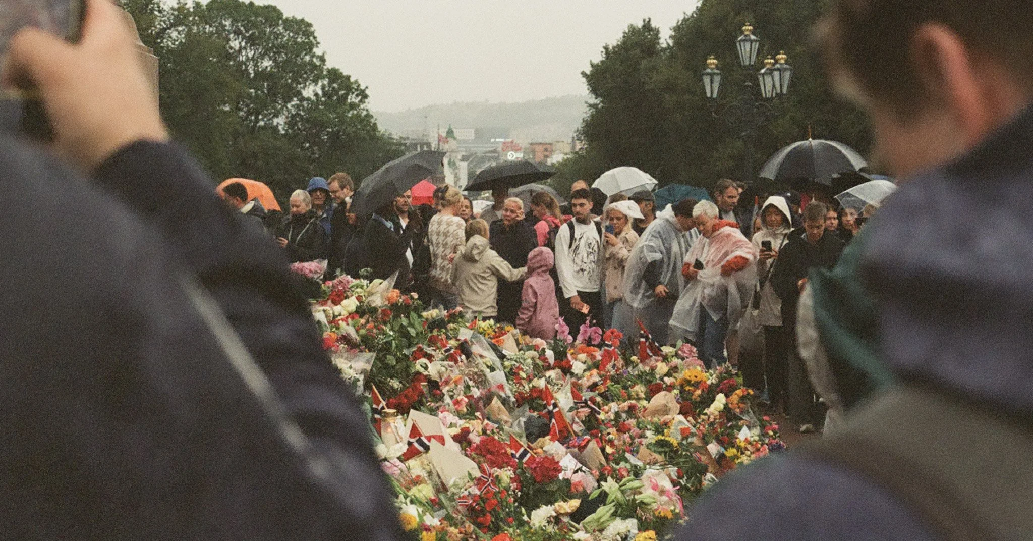 34-000072660005.jpg