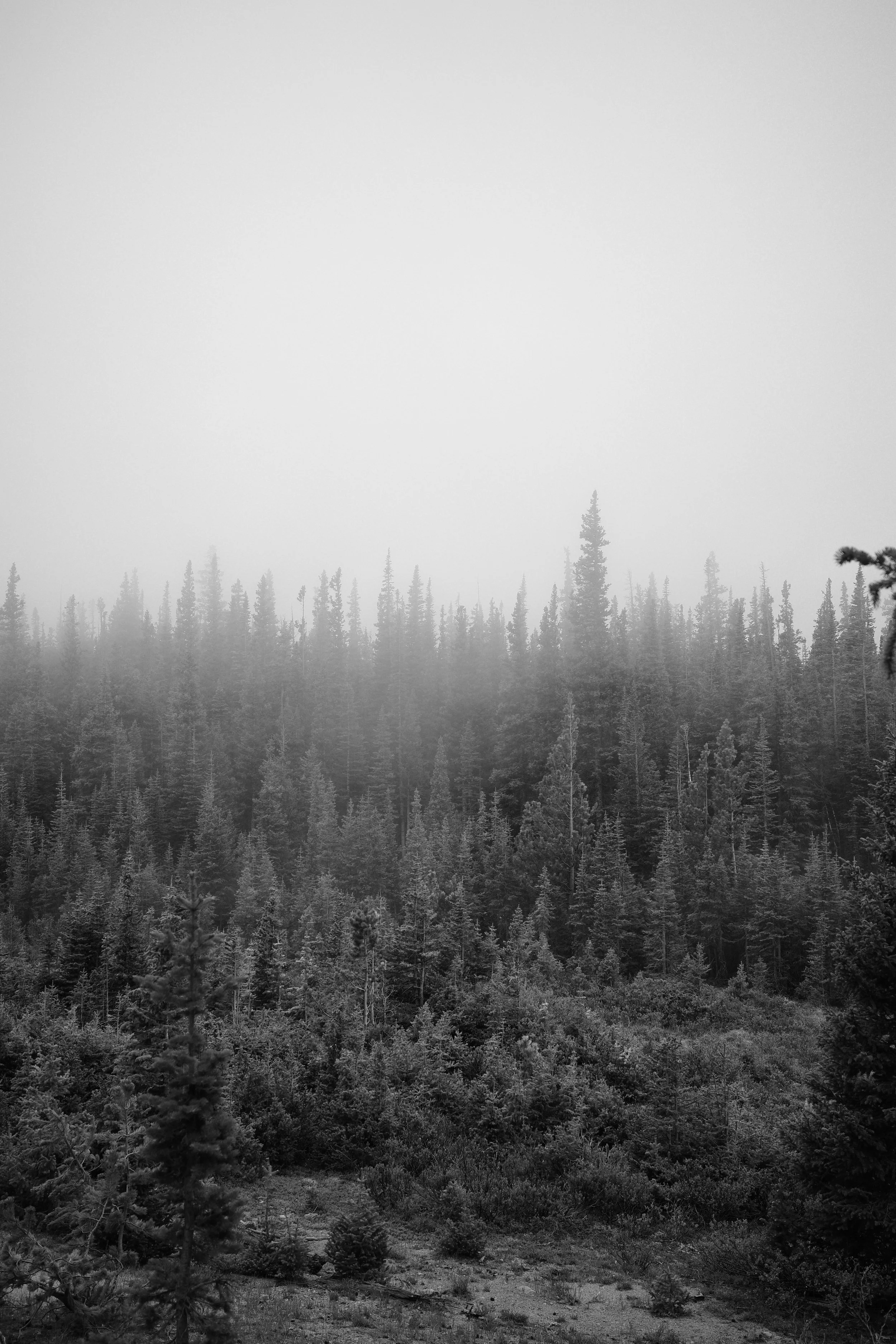R0000422.JPG