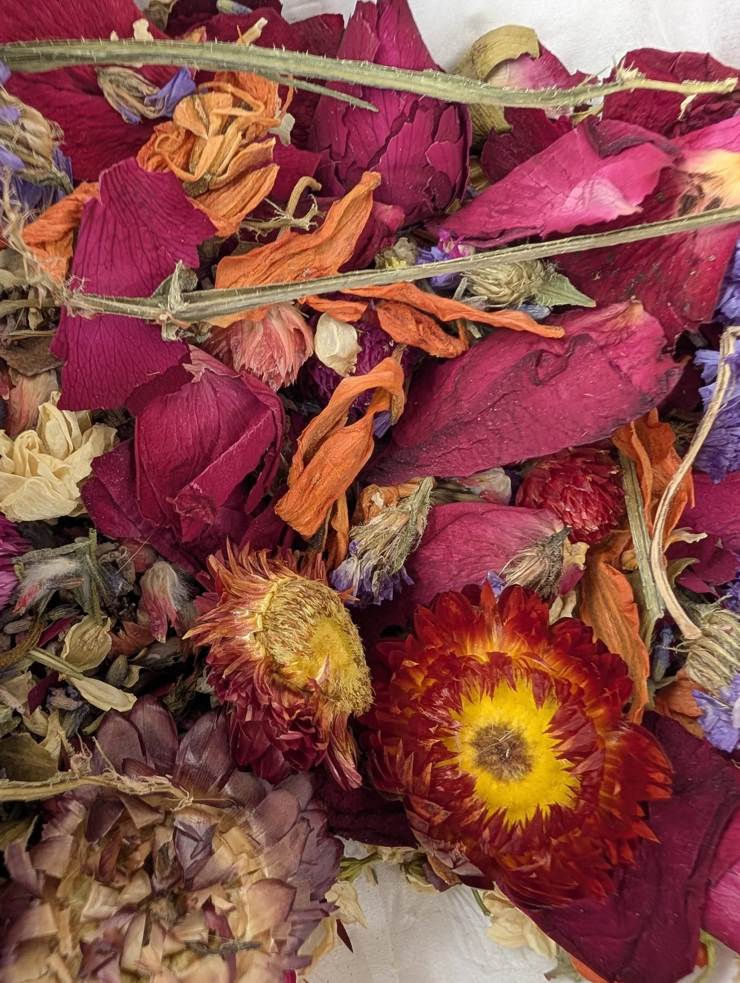 Flower Girl Flowers - Dried flowers and herbs