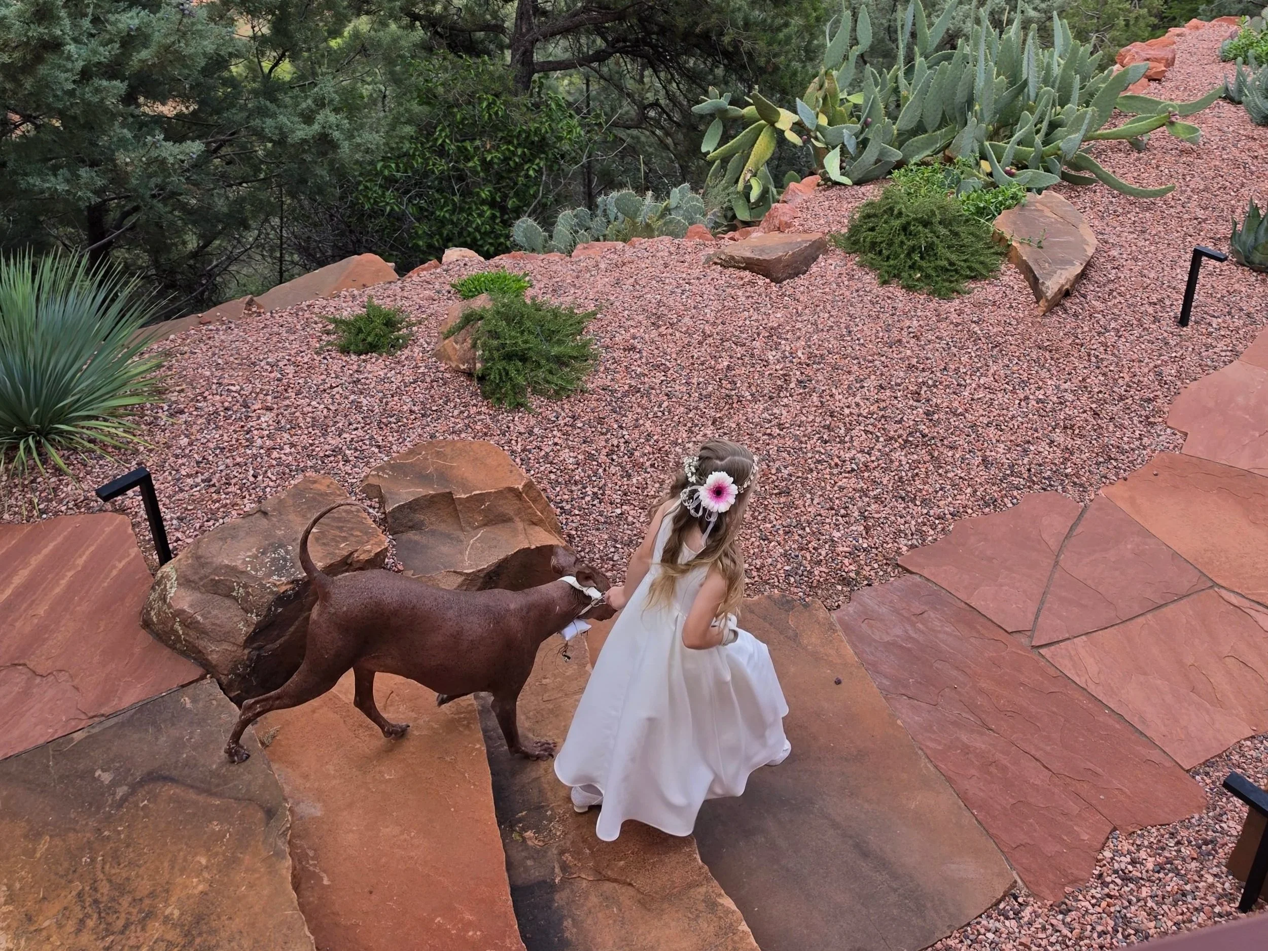 Ringbearer and Flower girl heading down 