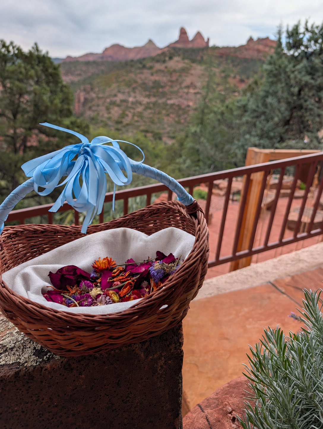 Flower Girl Basket - Something Barrowed and Something Blue 