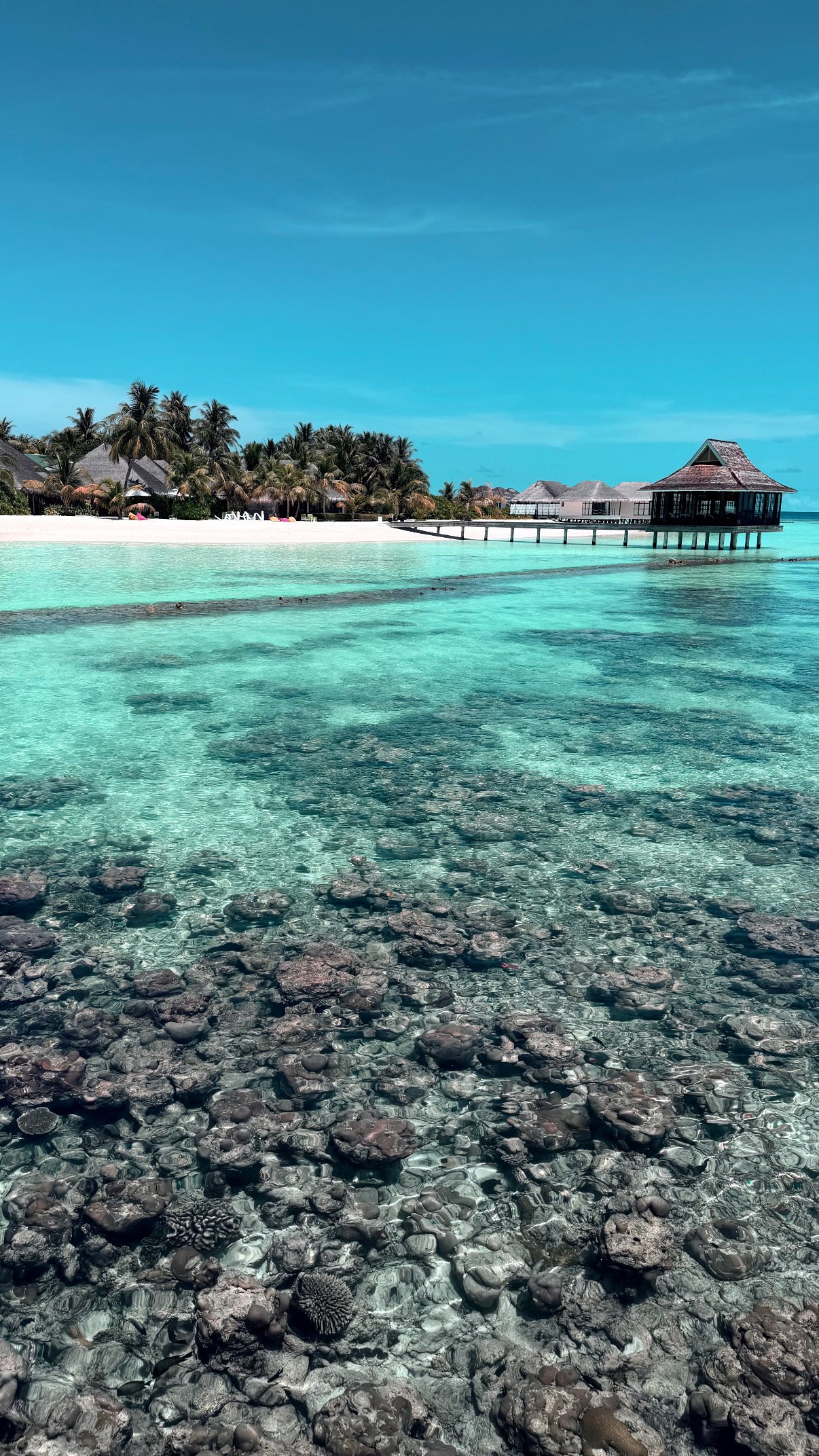 4 Malediven-Resorts im Vergleich: Meine ehrliche Erfahrung