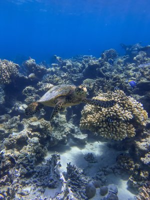 IMG_0998.JPG