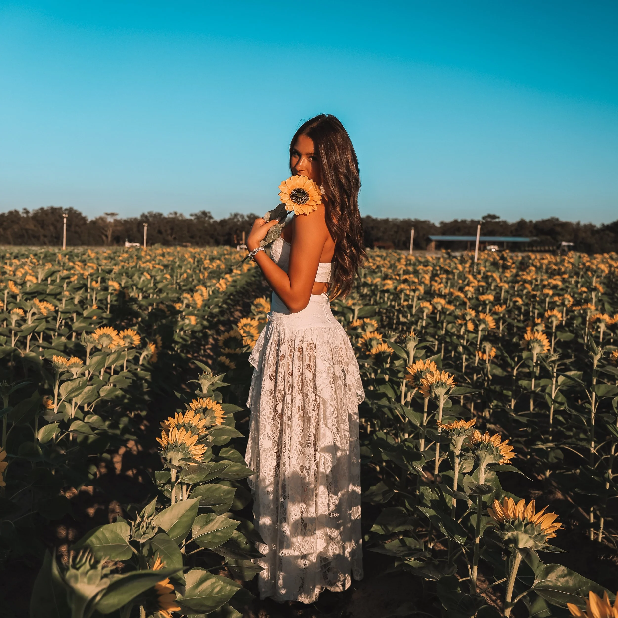 Woman with long wavy brown hair holding a sunflower in a sunflower field during sunset.