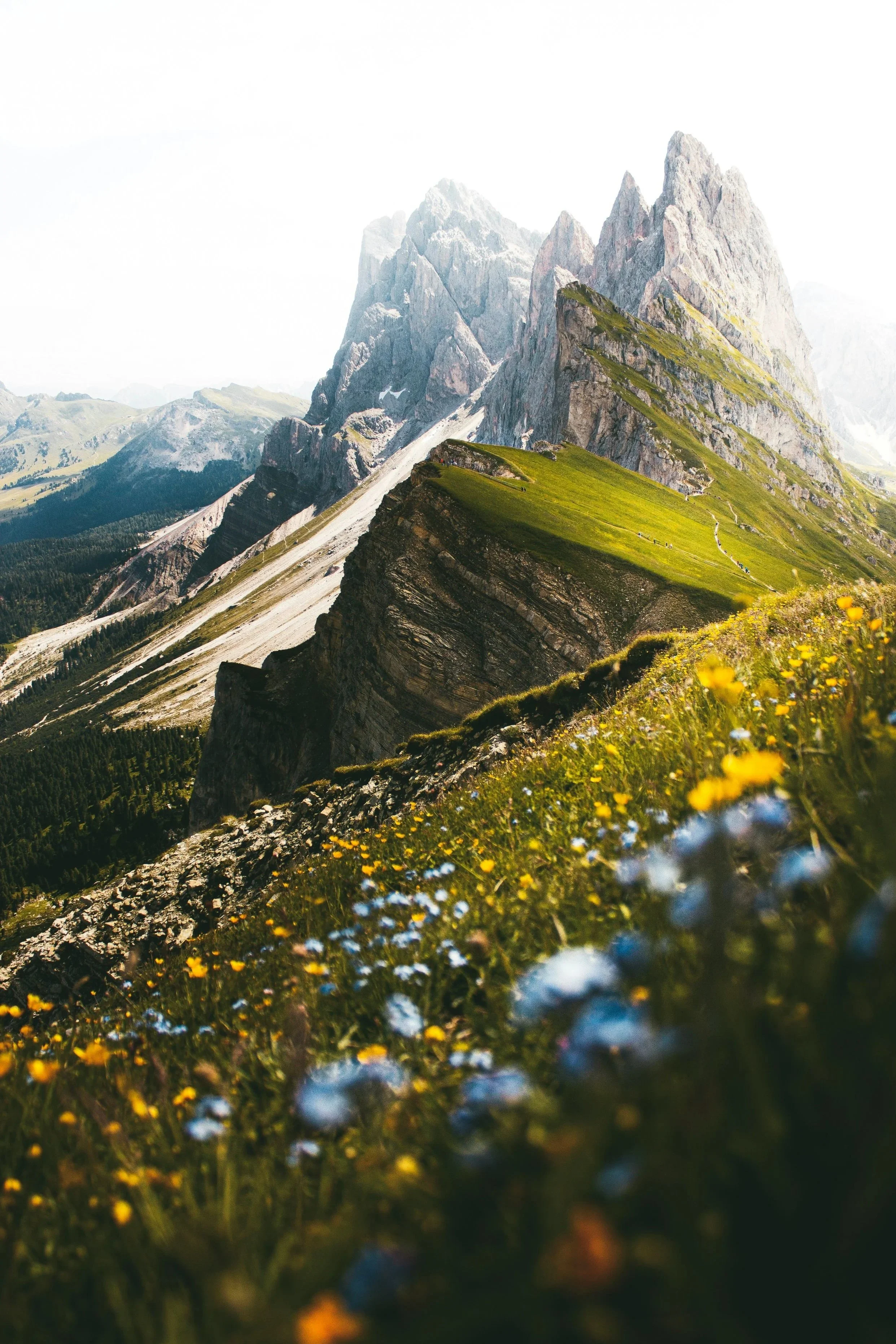 Majestic mountain landscape with towering peaks, green grassy slopes, and colorful wildflowers in the foreground.