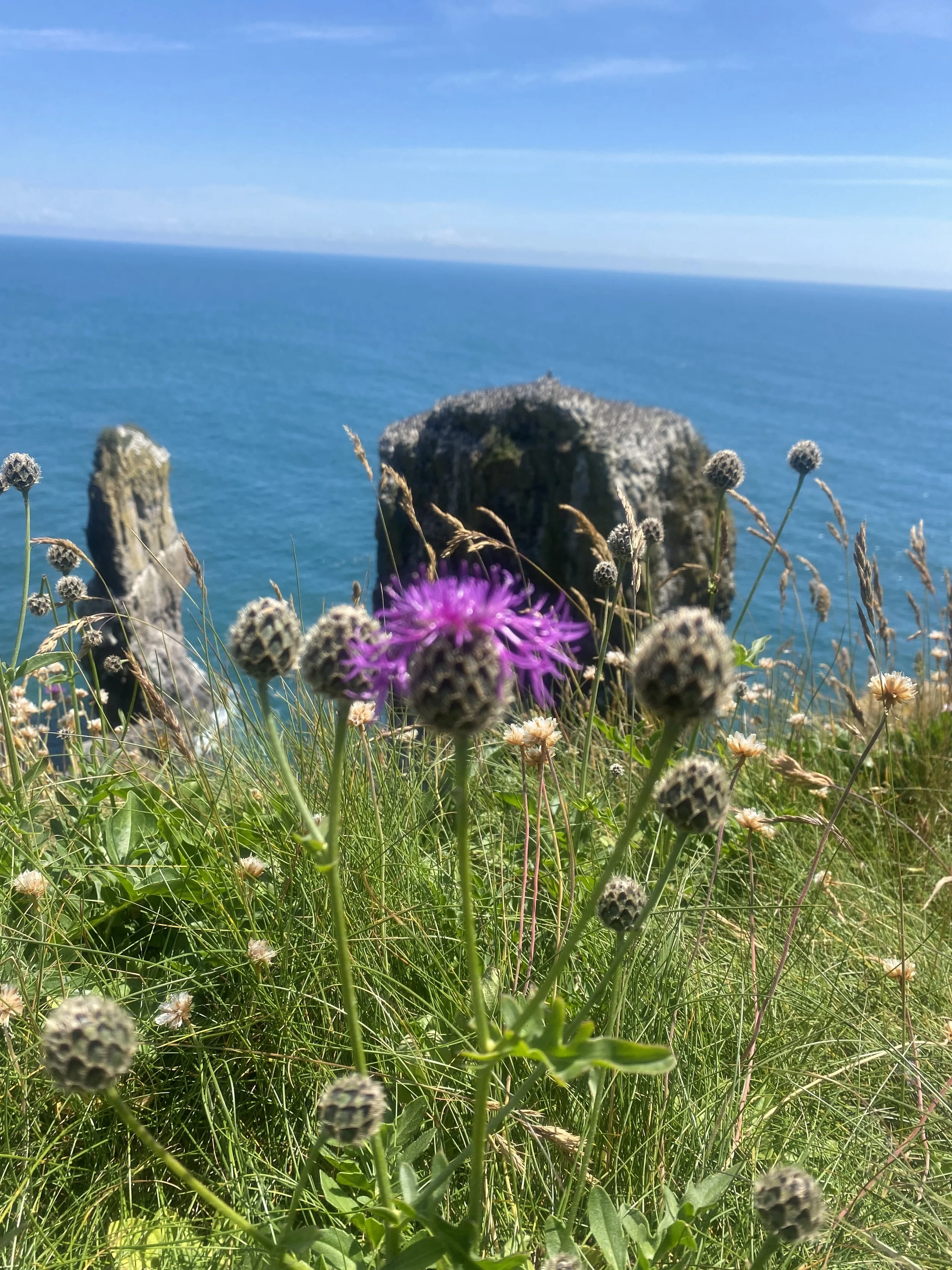 The Art of Getting Away - 2 Nights in Wales