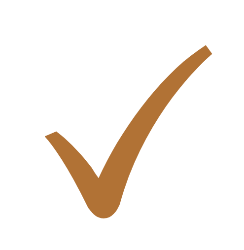 Brown check mark on a white background.