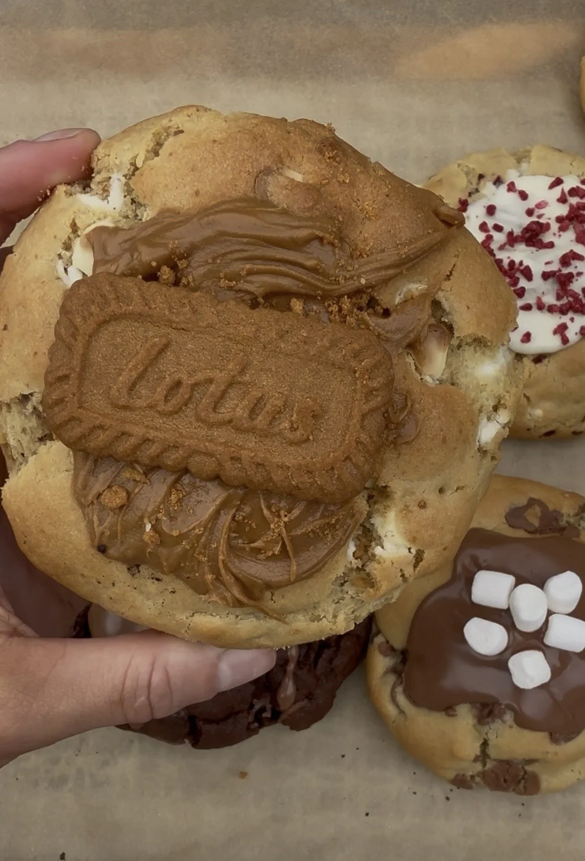 Biscoff Cookie