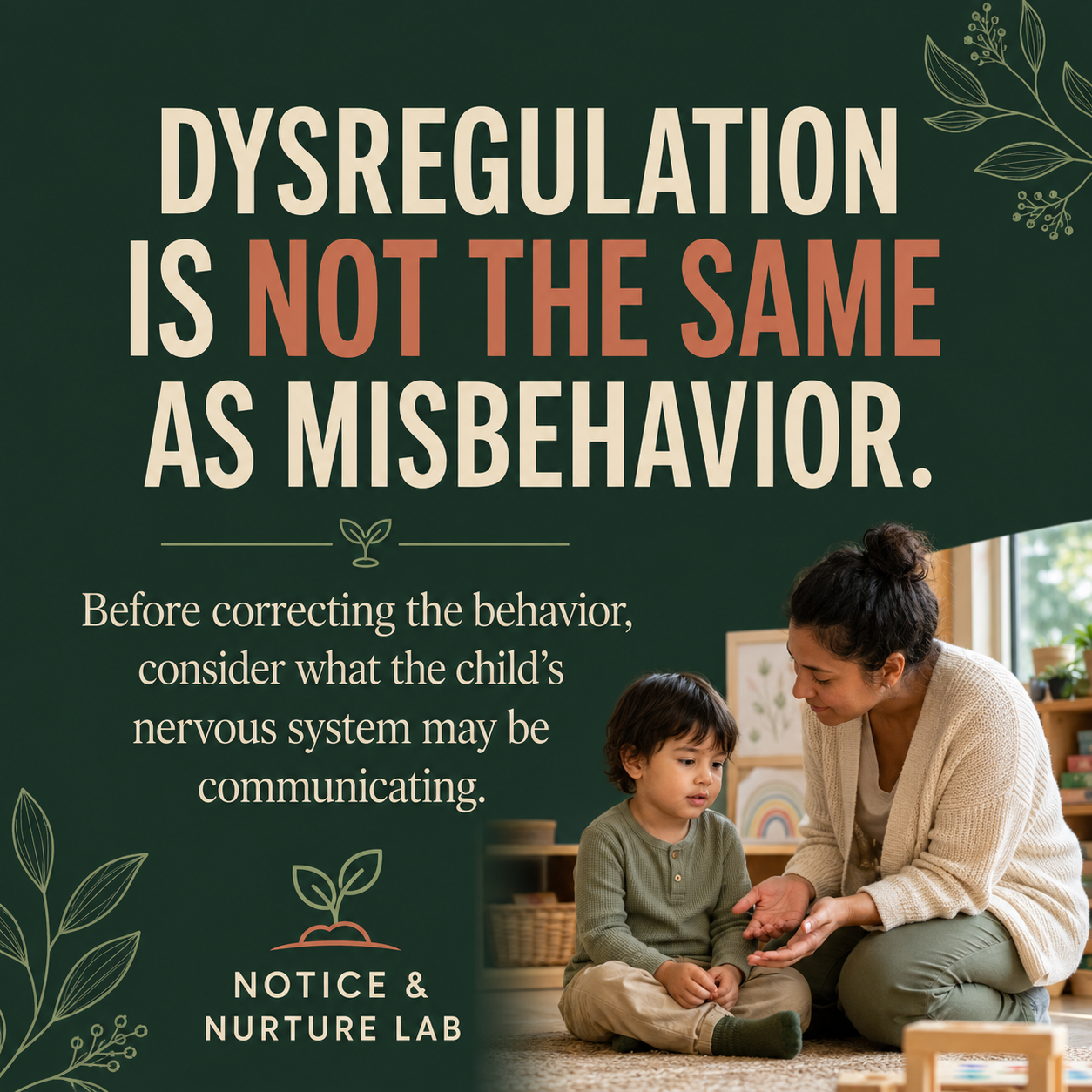 Dysregulation Is Not the Same as Misbehavior
