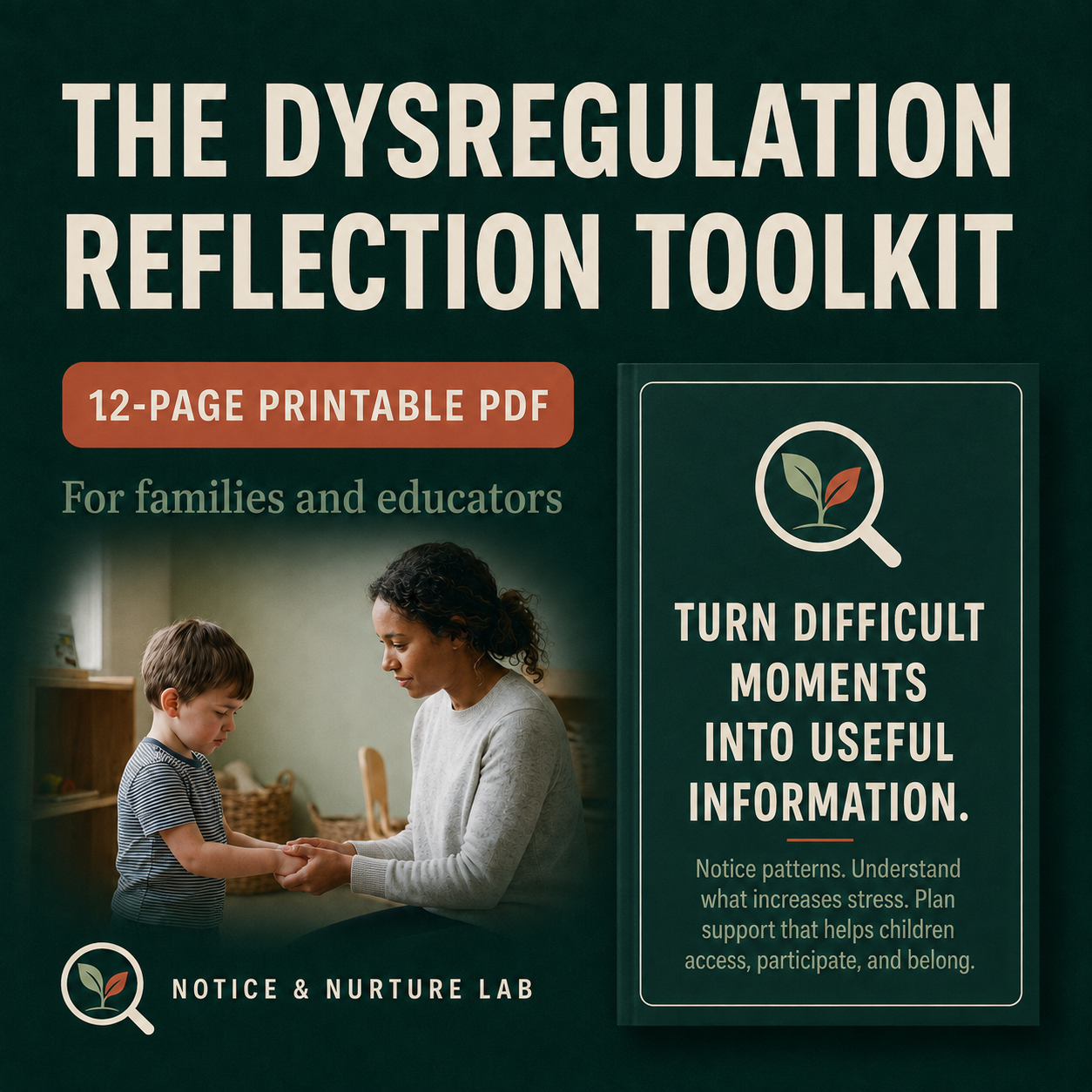 The Dysregulation Reflection Toolkit