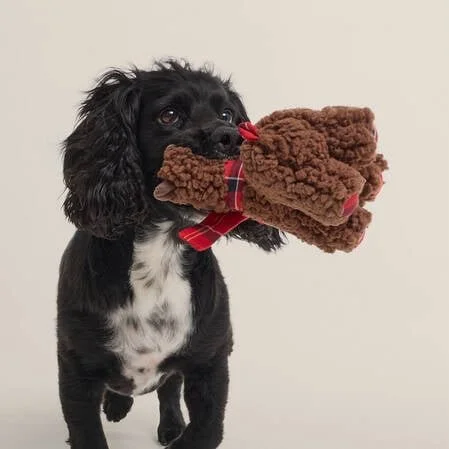 AW26OCTDOGSBLOCK2.jpg