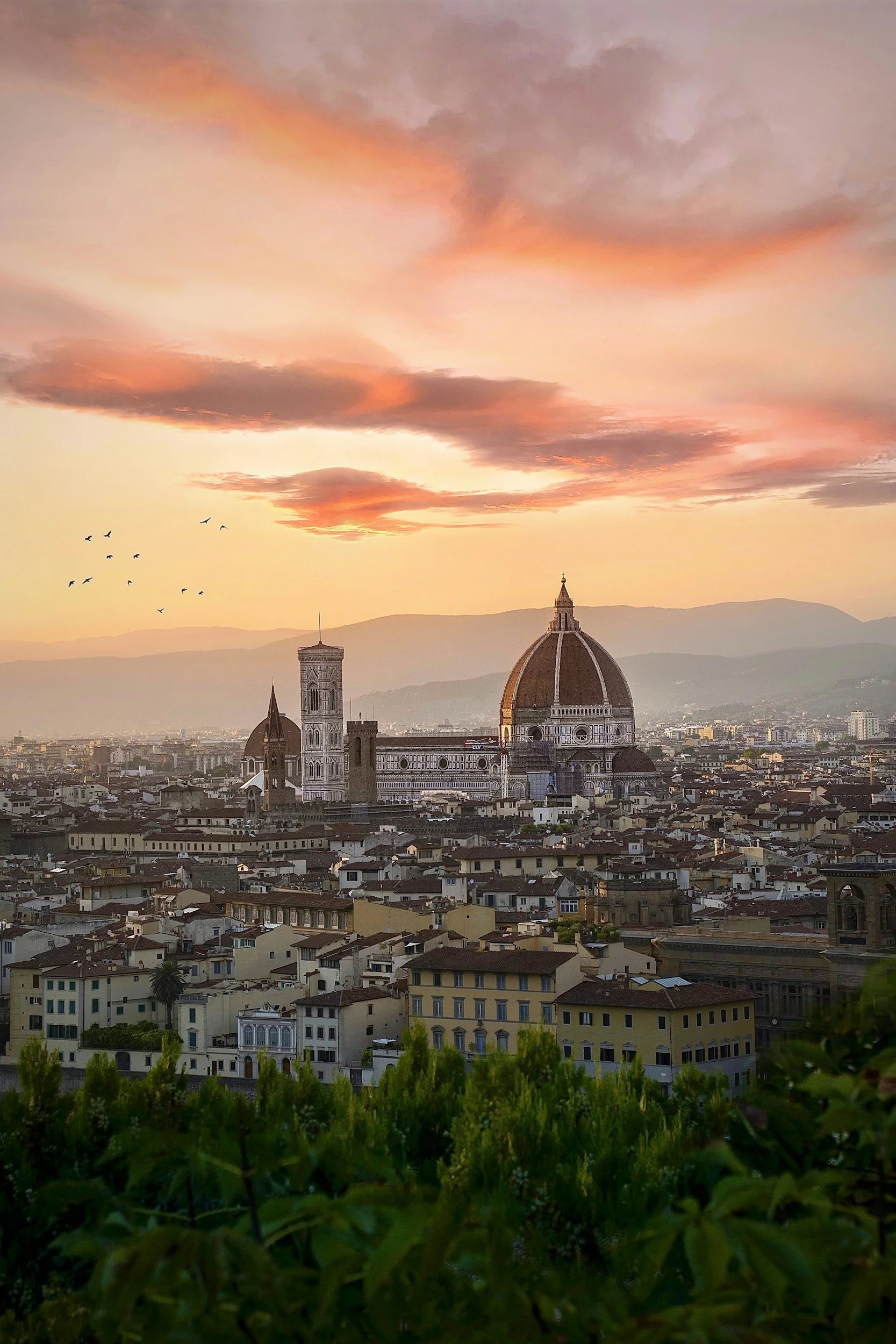 A sunset over Florence, Italy, with city skyline including the Florence Cathedral with its iconic dome, and hills in the background. The sky displays pink, orange, and purple hues, with clouds and a flock of birds flying.