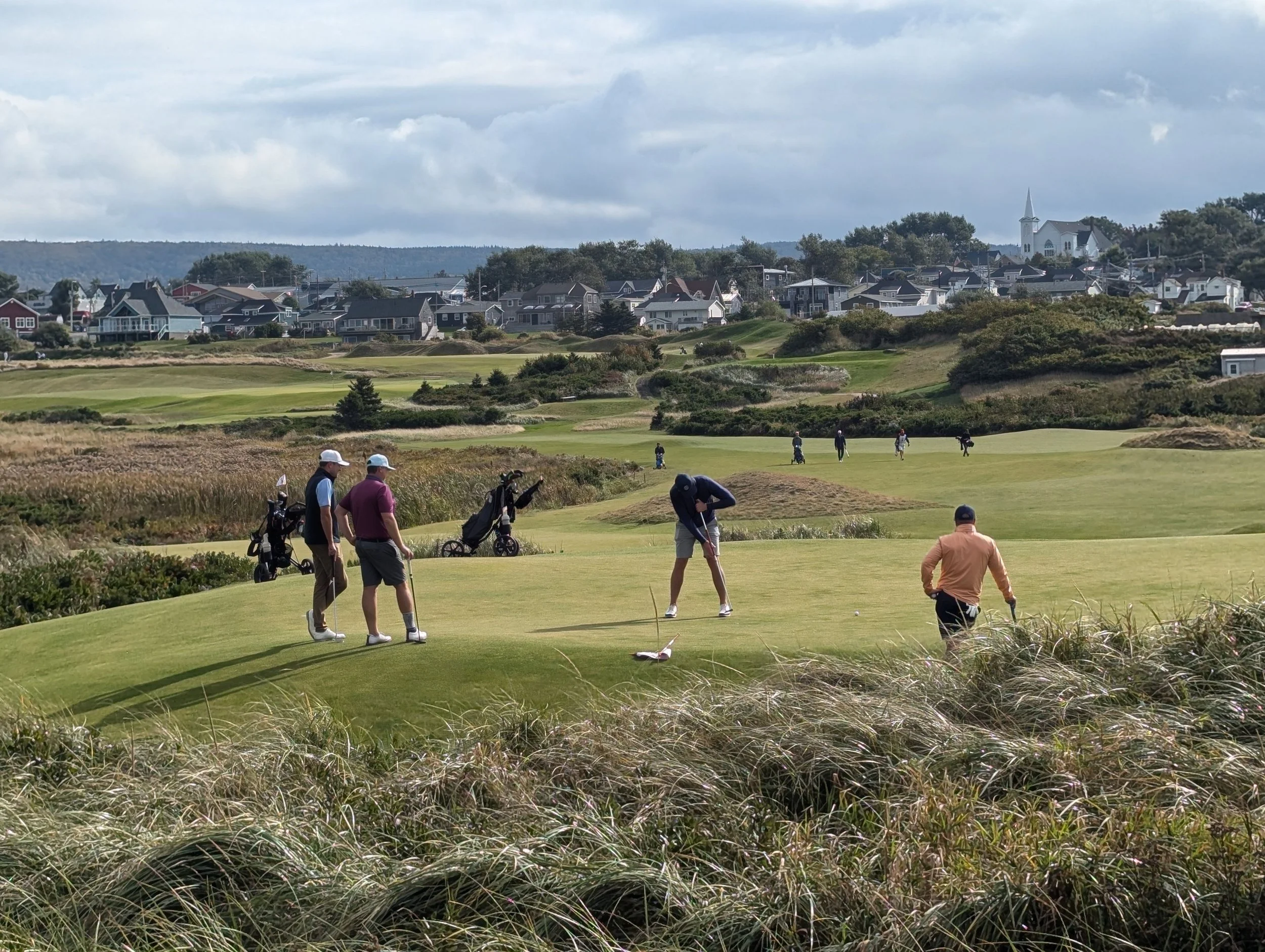 A person preparing to putt on a golf green with a scenic landscape and houses in the background.