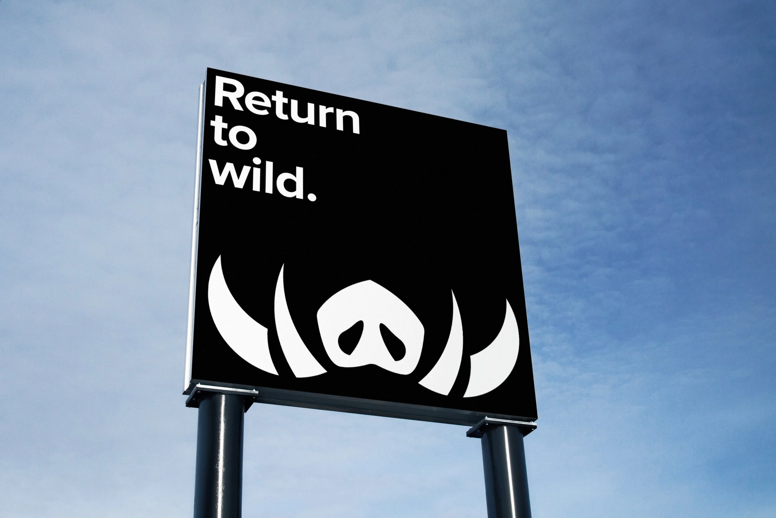 WILDHAWG AD.jpeg