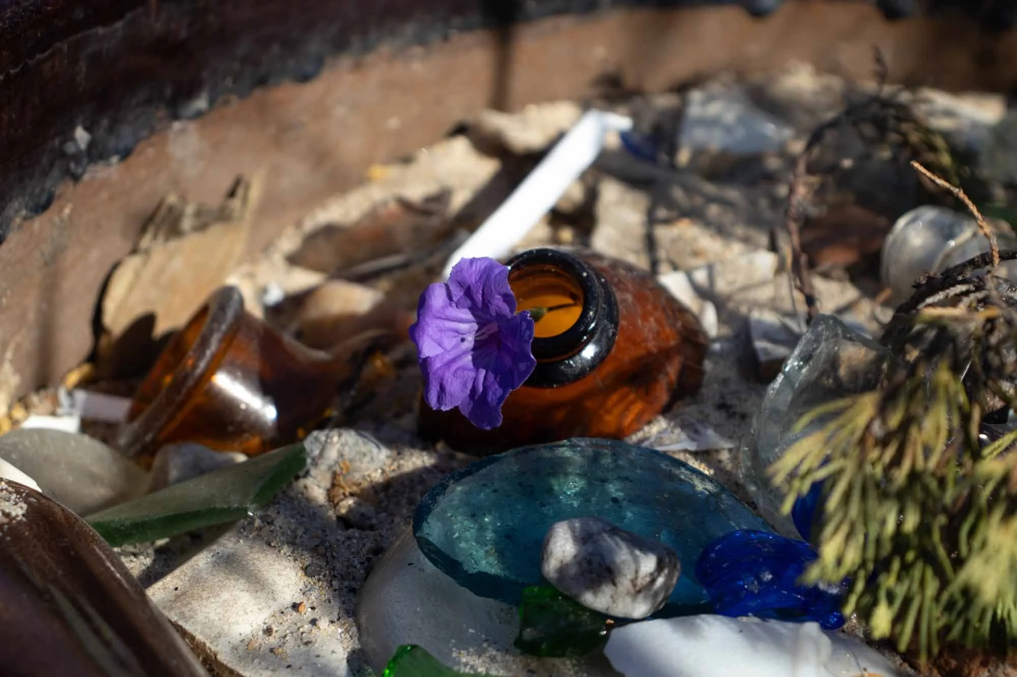 A small brown glass bottle lying on sand among colorful glass shards, rocks, and dried plant stems, with a purple flower petal inside the bottle.
