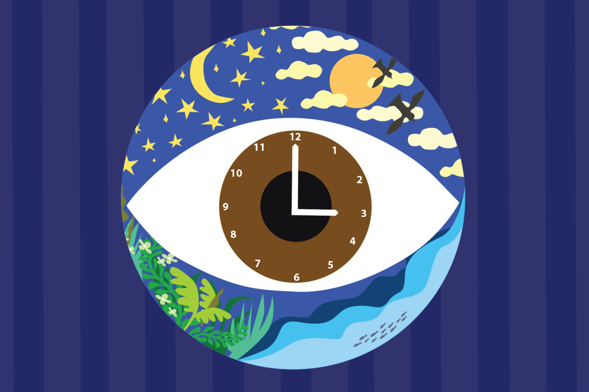 An artistic design combining a clock and an eye, with a nature scene inside and a nighttime sky with stars, moon, and flying birds above.