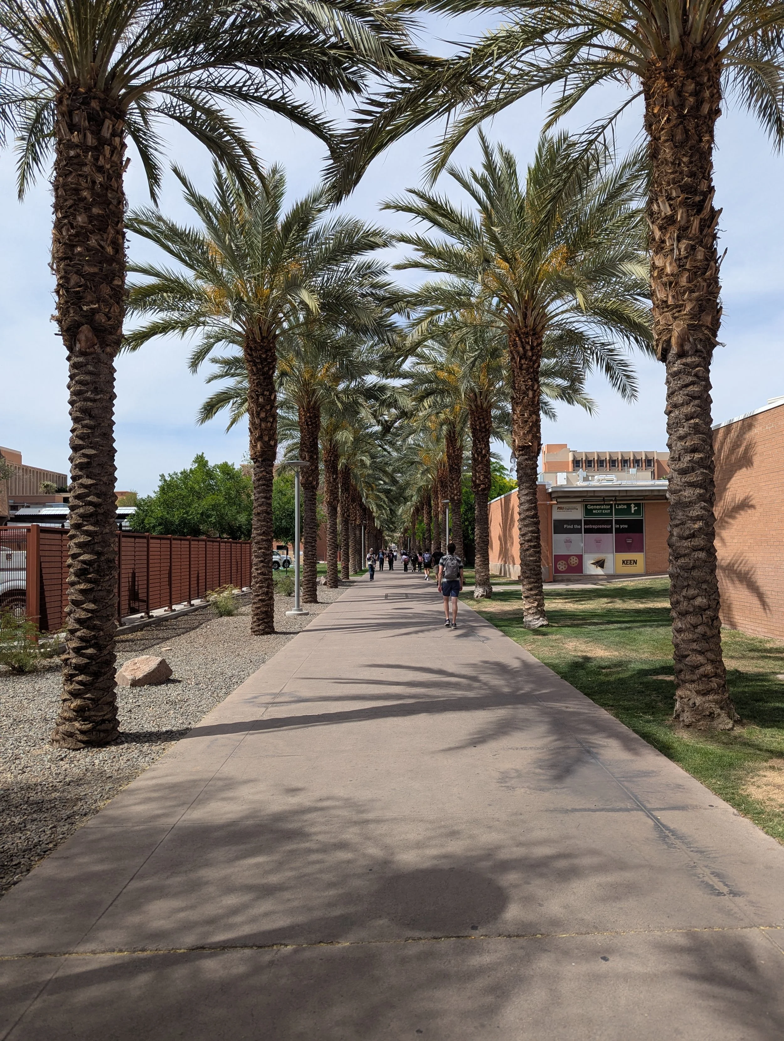 Palm Walk