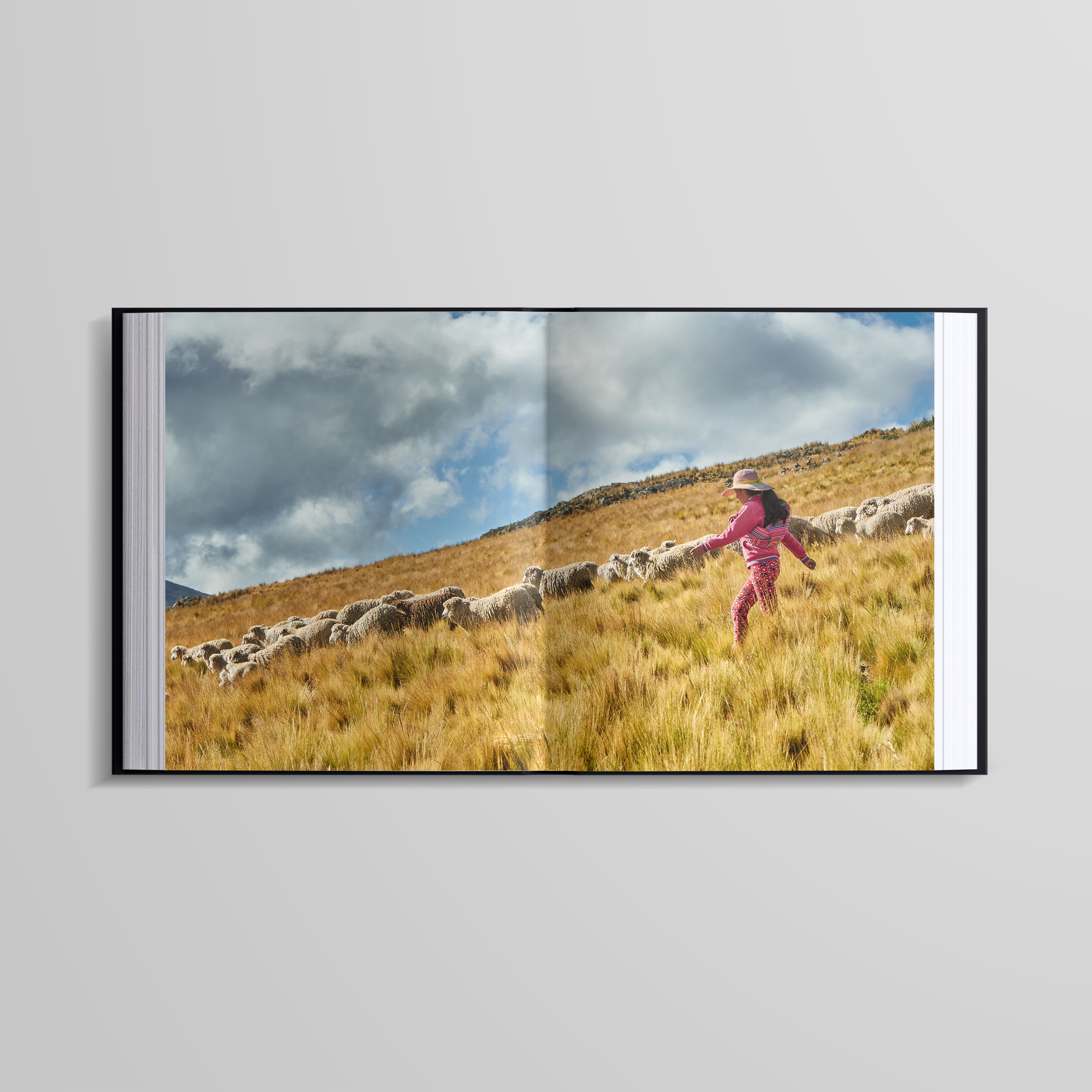 Proyecto editorial Conococha: Naturaleza y Cultura presentado en pantalla.