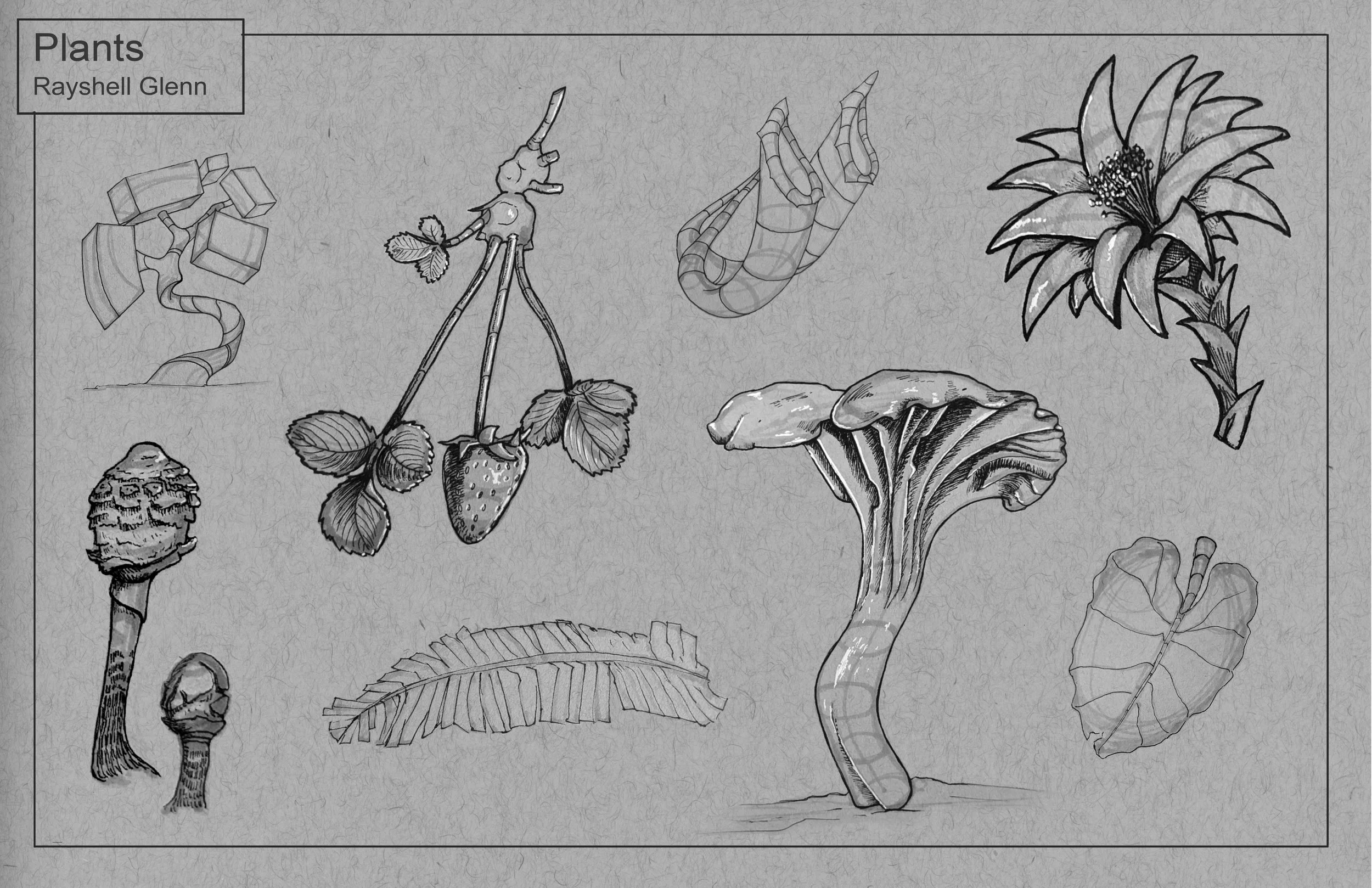 A detailed black and white illustration of various plants, including mushrooms, a strawberry plant with berries, a flower, and parts of tropical leaves.