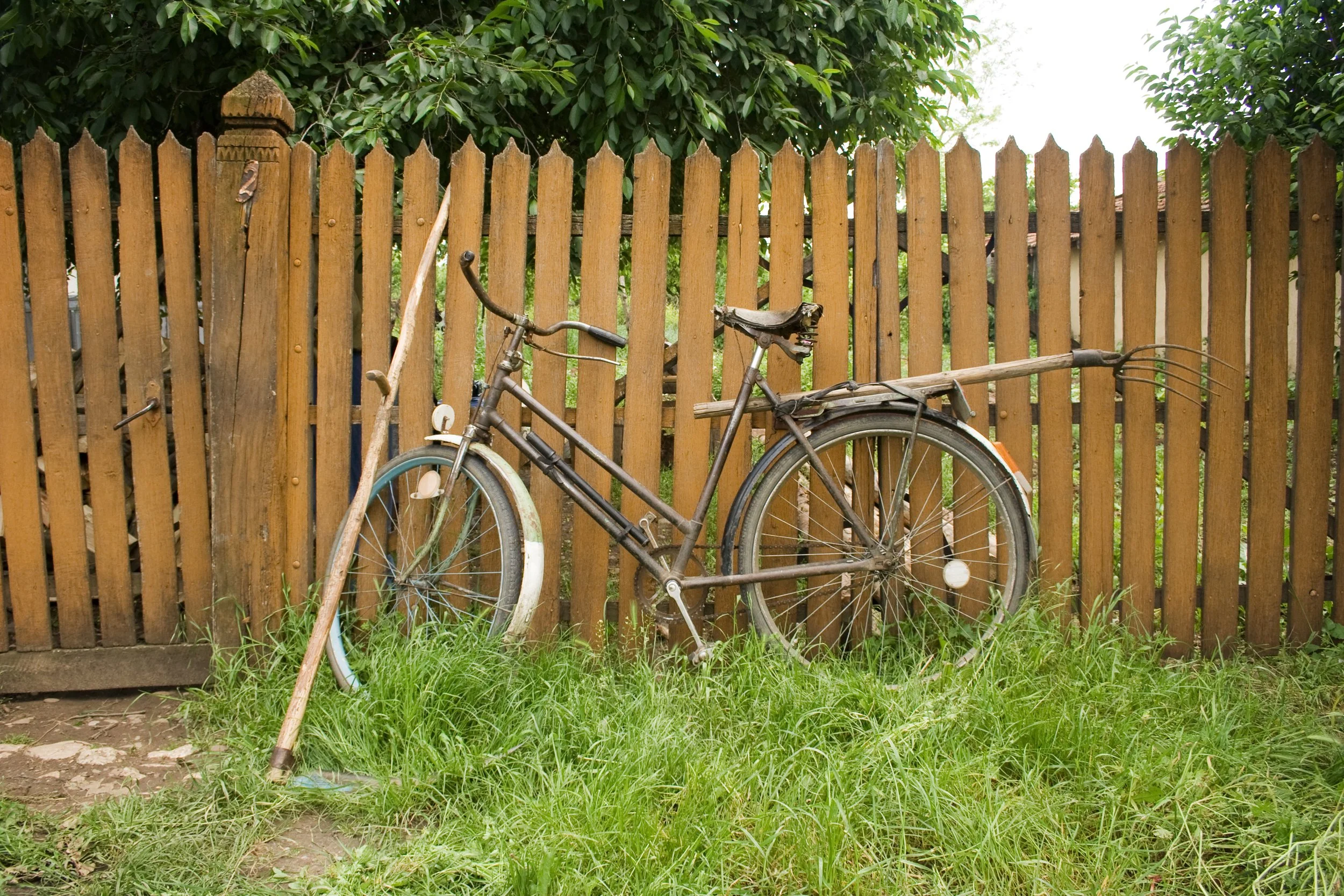 _MG_1543.jpg