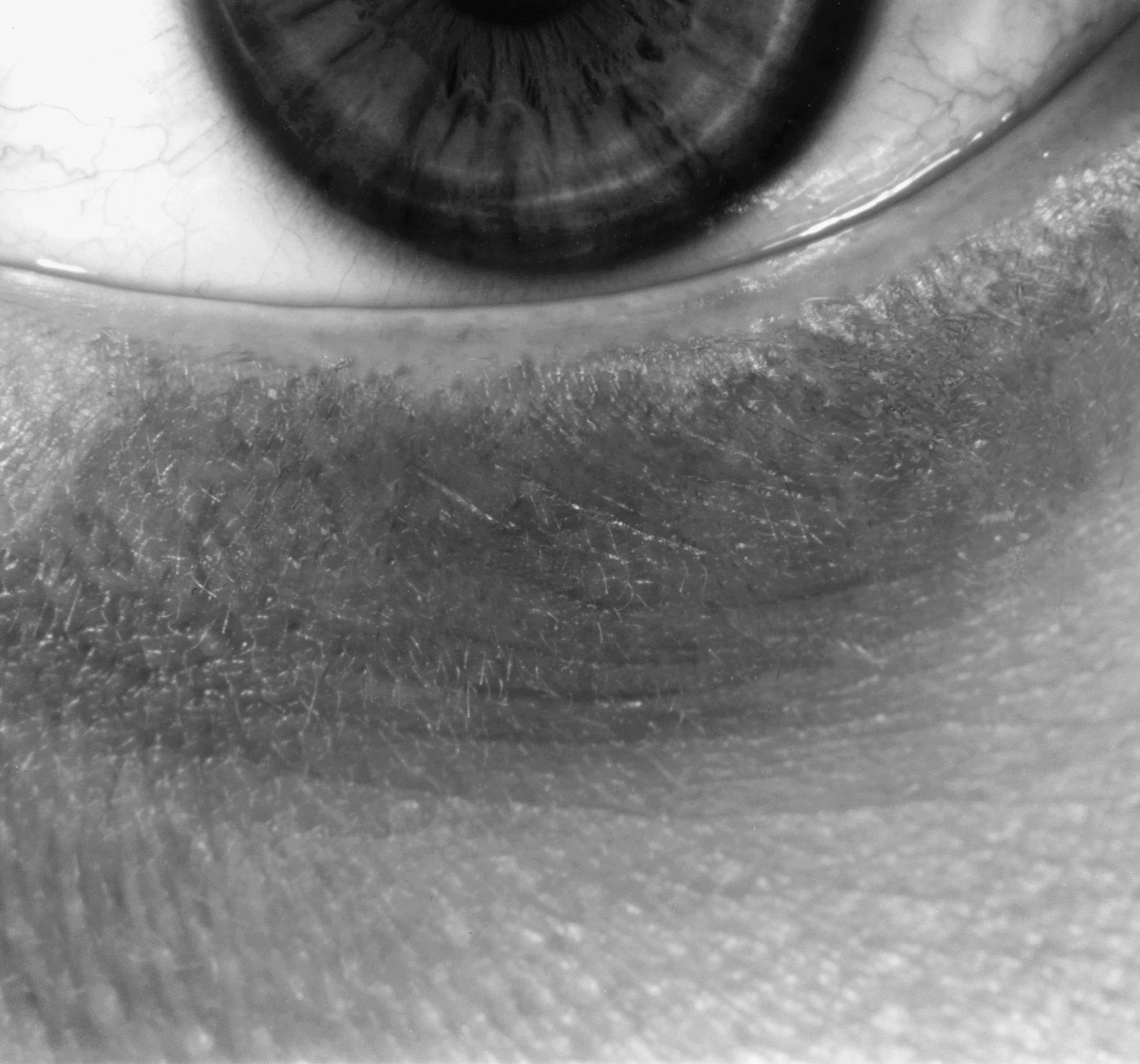 eye-2.jpg