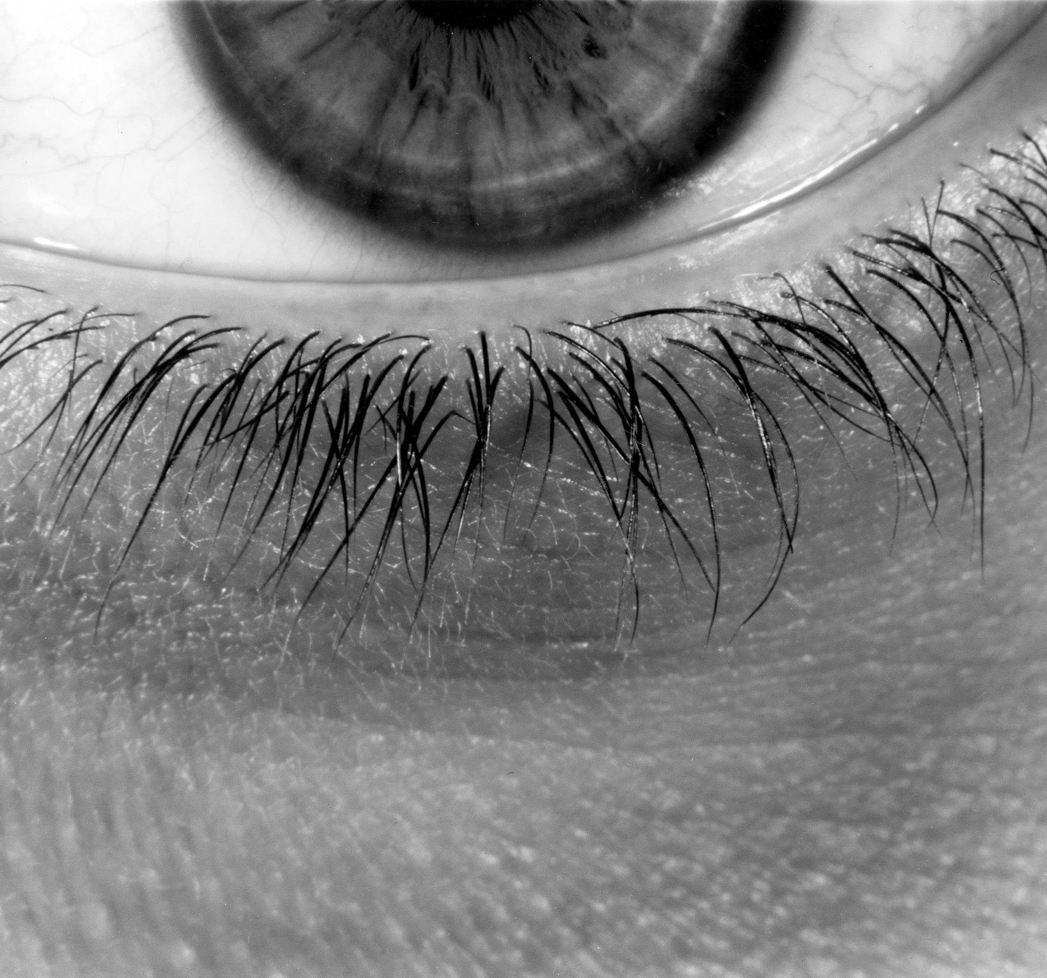 eye-1.jpg