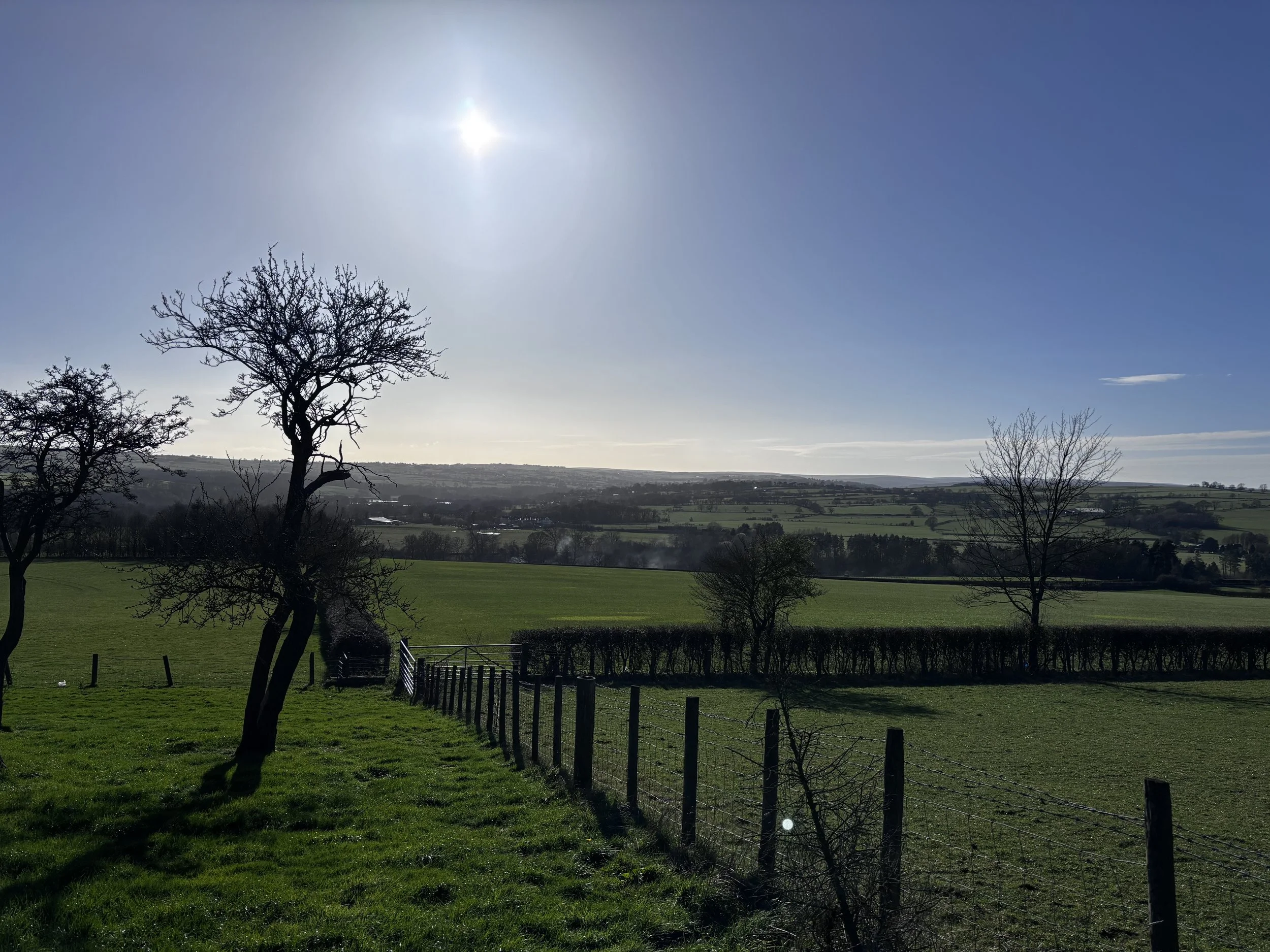 Sunny rural countryside with rolling green fields, hedgerows, bare trees, fences, and distant hills.