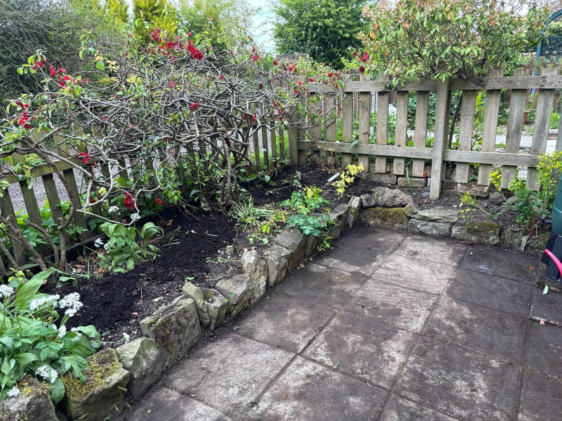 Landscaped backyard garden with red-flowering shrubs, white flowers, stone edging, and a weathered wooden fence