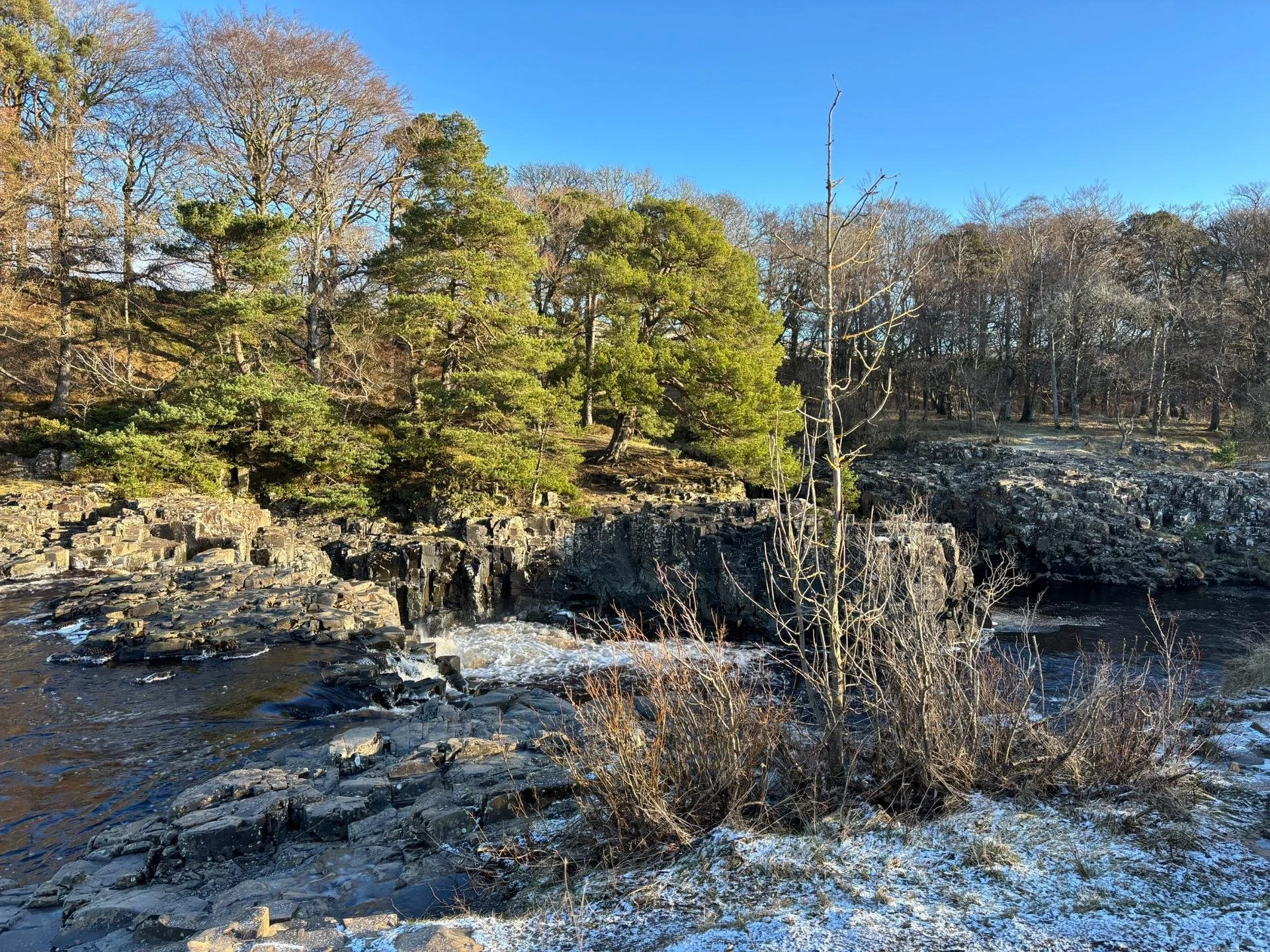 Rocky river gorge with flowing water, evergreen and leafless trees, and light snow under a clear blue sky
