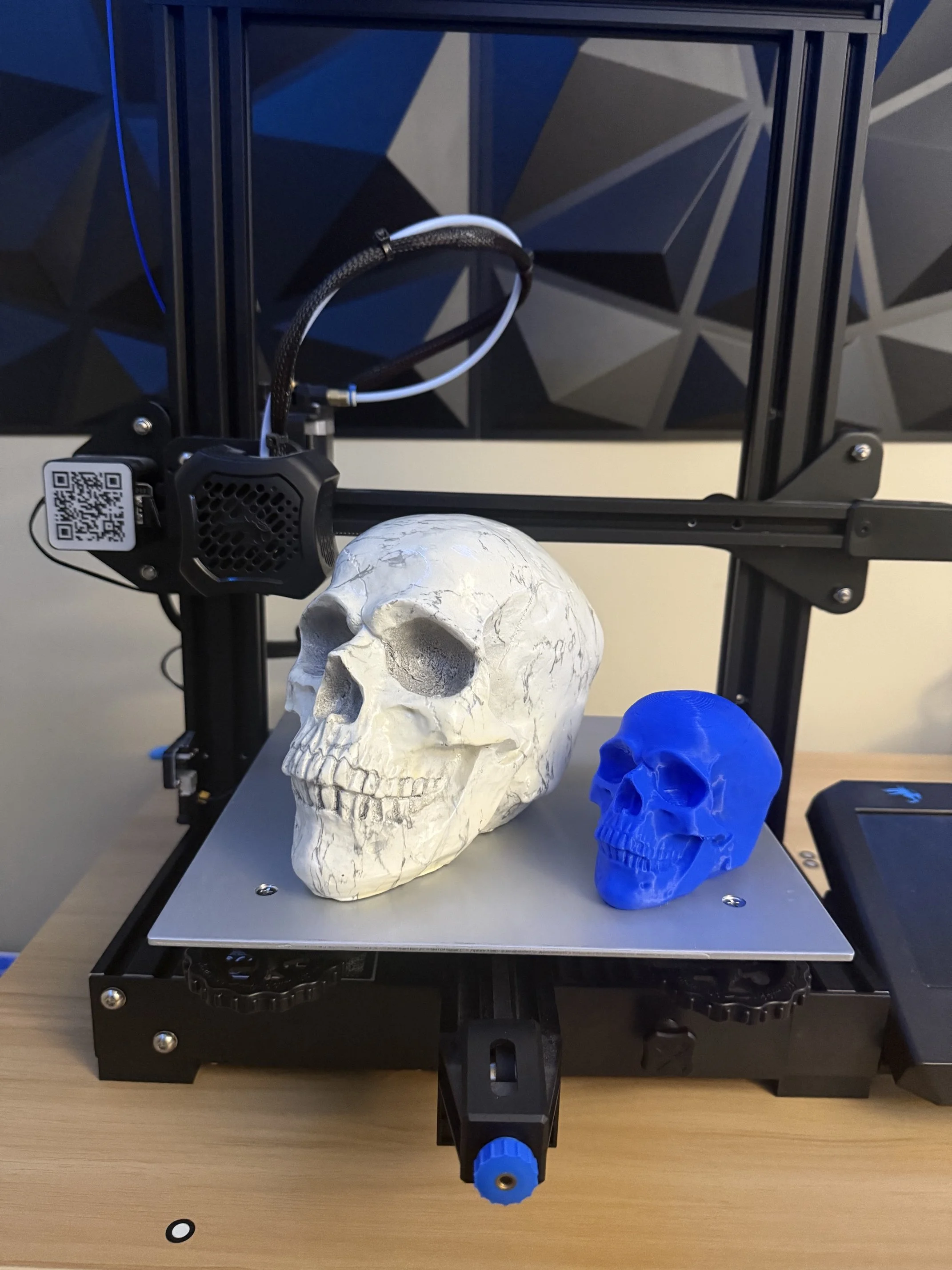 A 3D printer on a wooden surface with a white skull and a blue skull model on its printing bed.