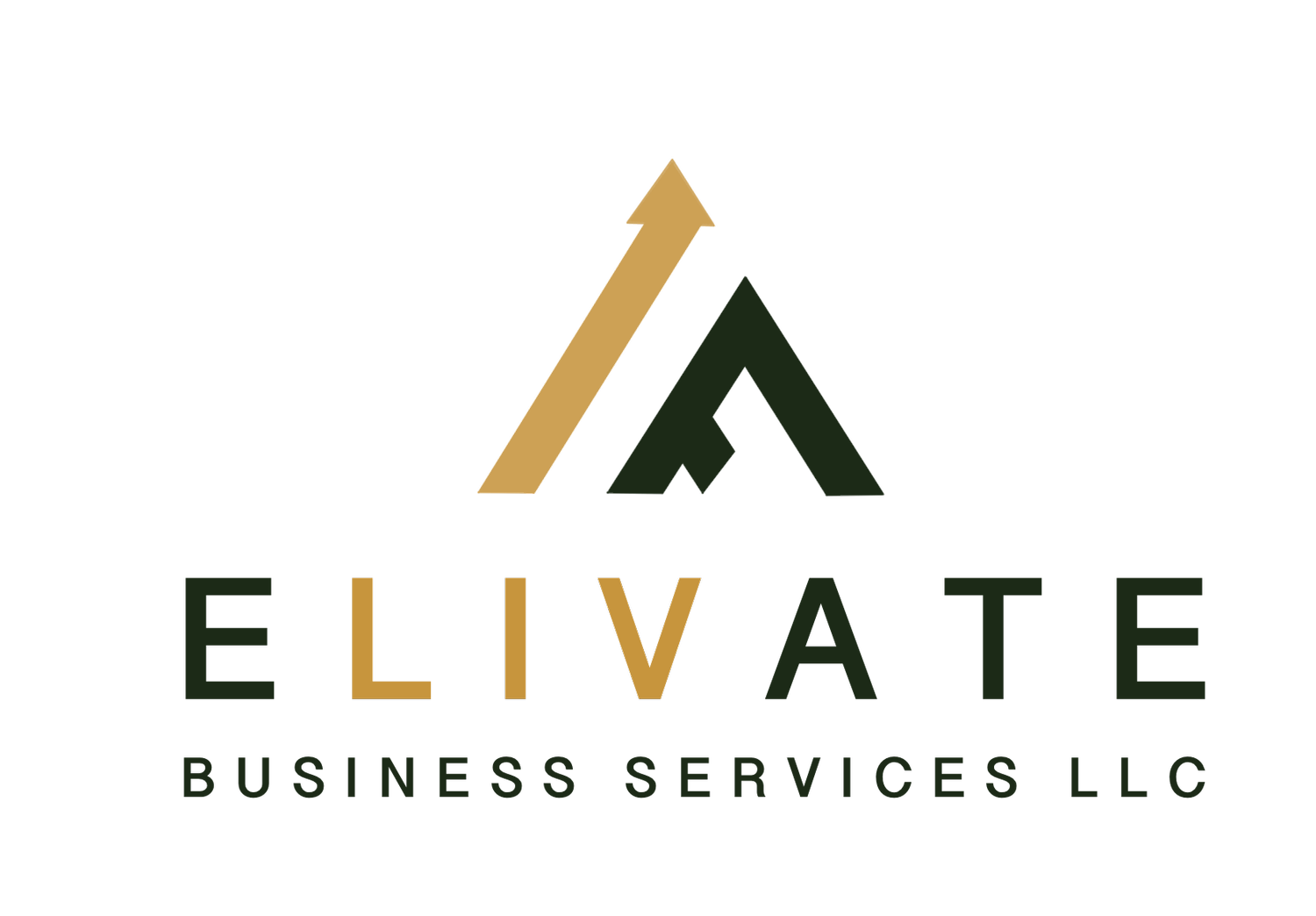 ELIVATE BUSINESS SERVICES, LLC