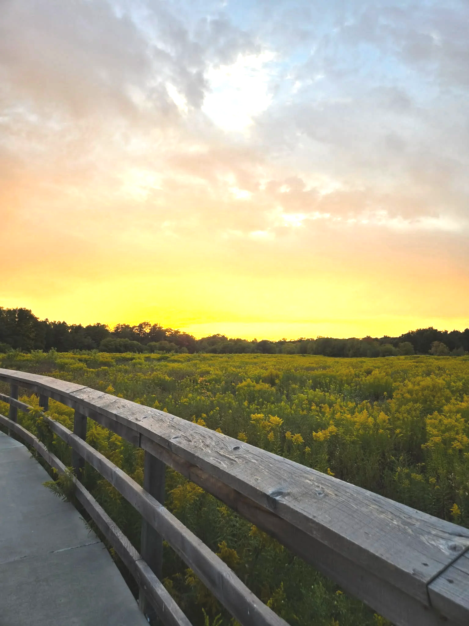 A scenic view of a sunset at the Mike Schout Wetlands Preserve. Photo Credit: Piper Bell