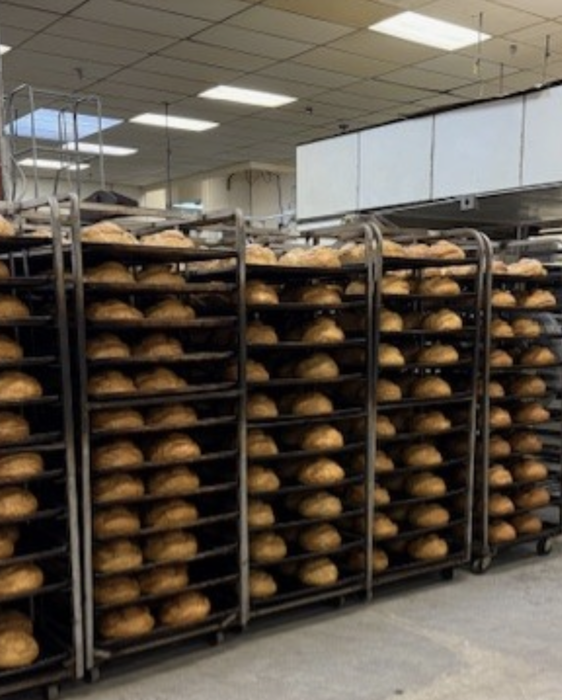 Rows of baking racks filled with freshly baked bread loaves inside a bakery or restaurant kitchen.