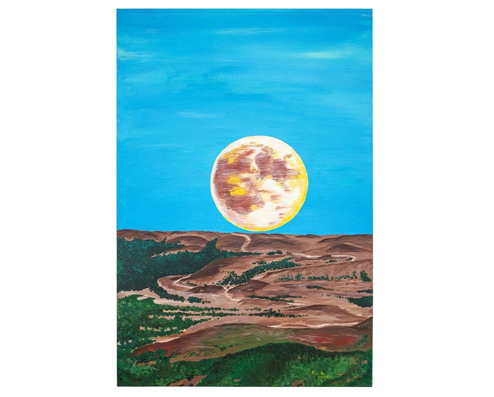  My Driveway 
 
Acrylic on canvas 24" x 36" 
 