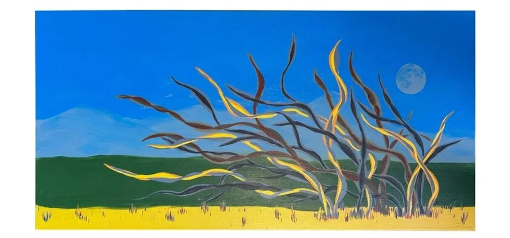 Wind Weaves