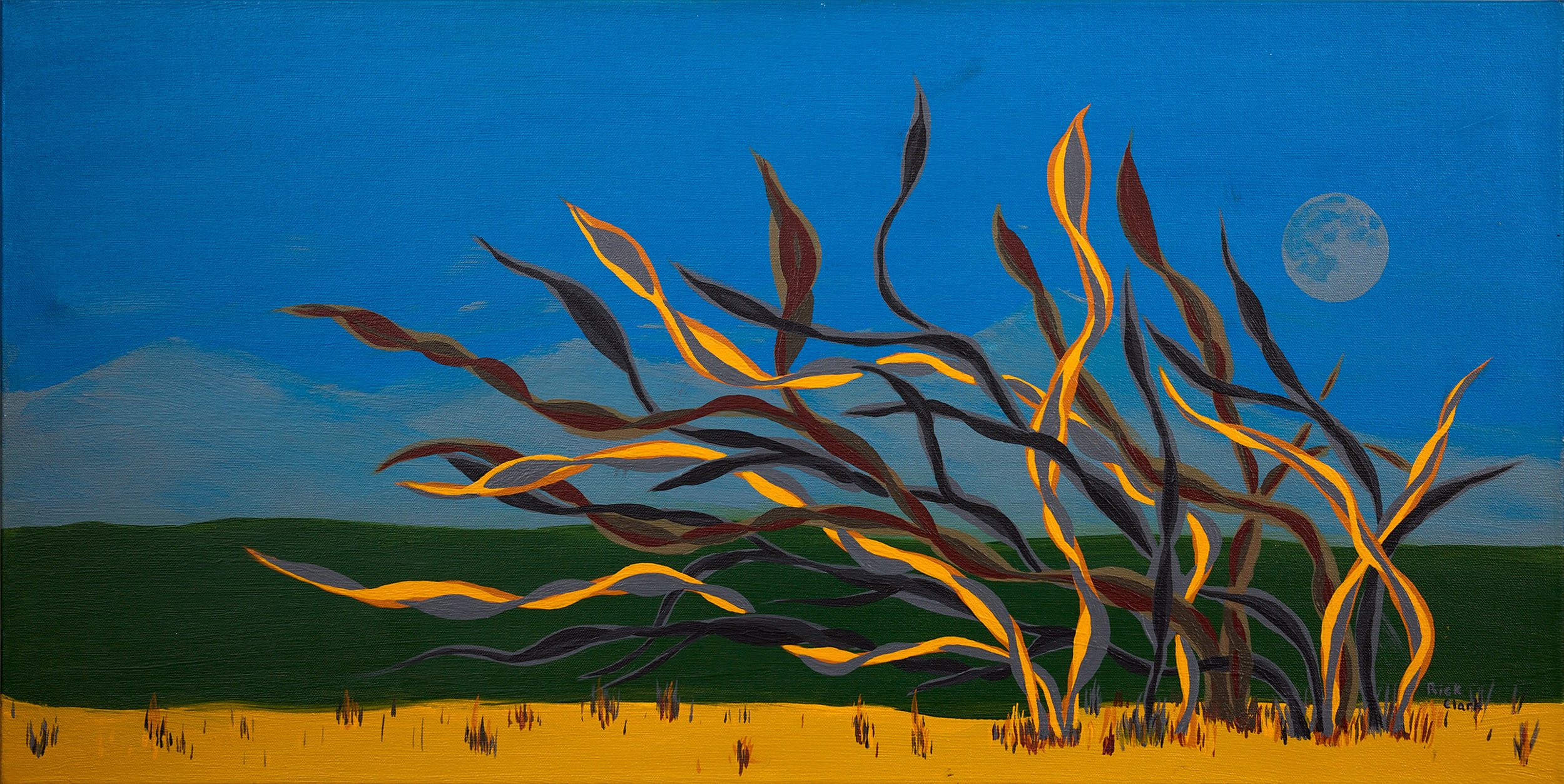 Wind Weaves