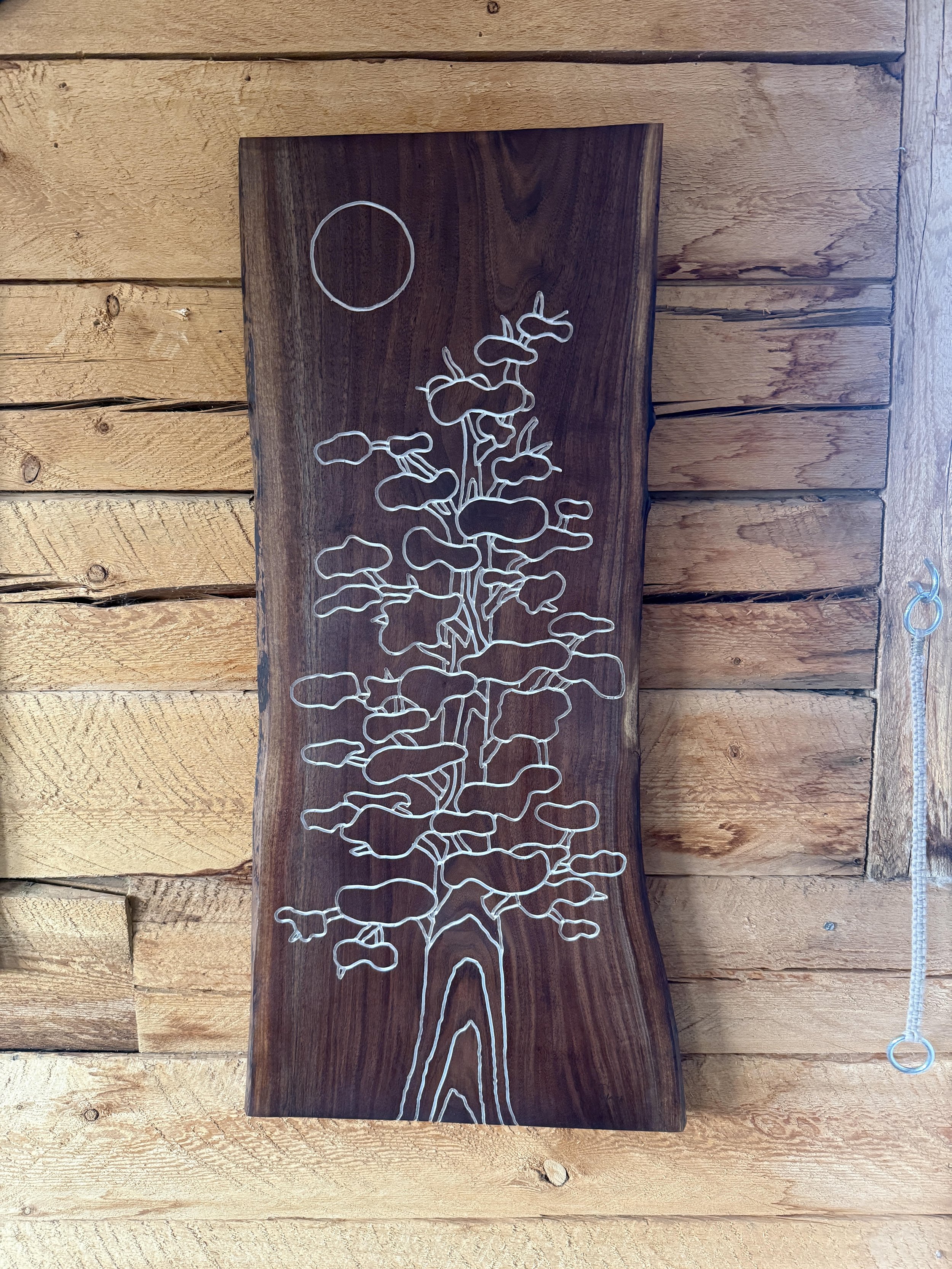 Ponderosa Moon