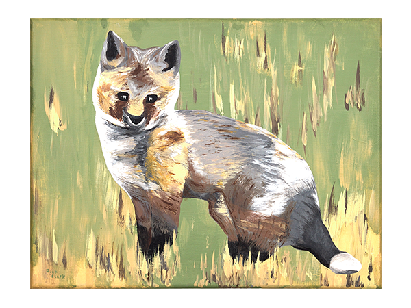 Kit