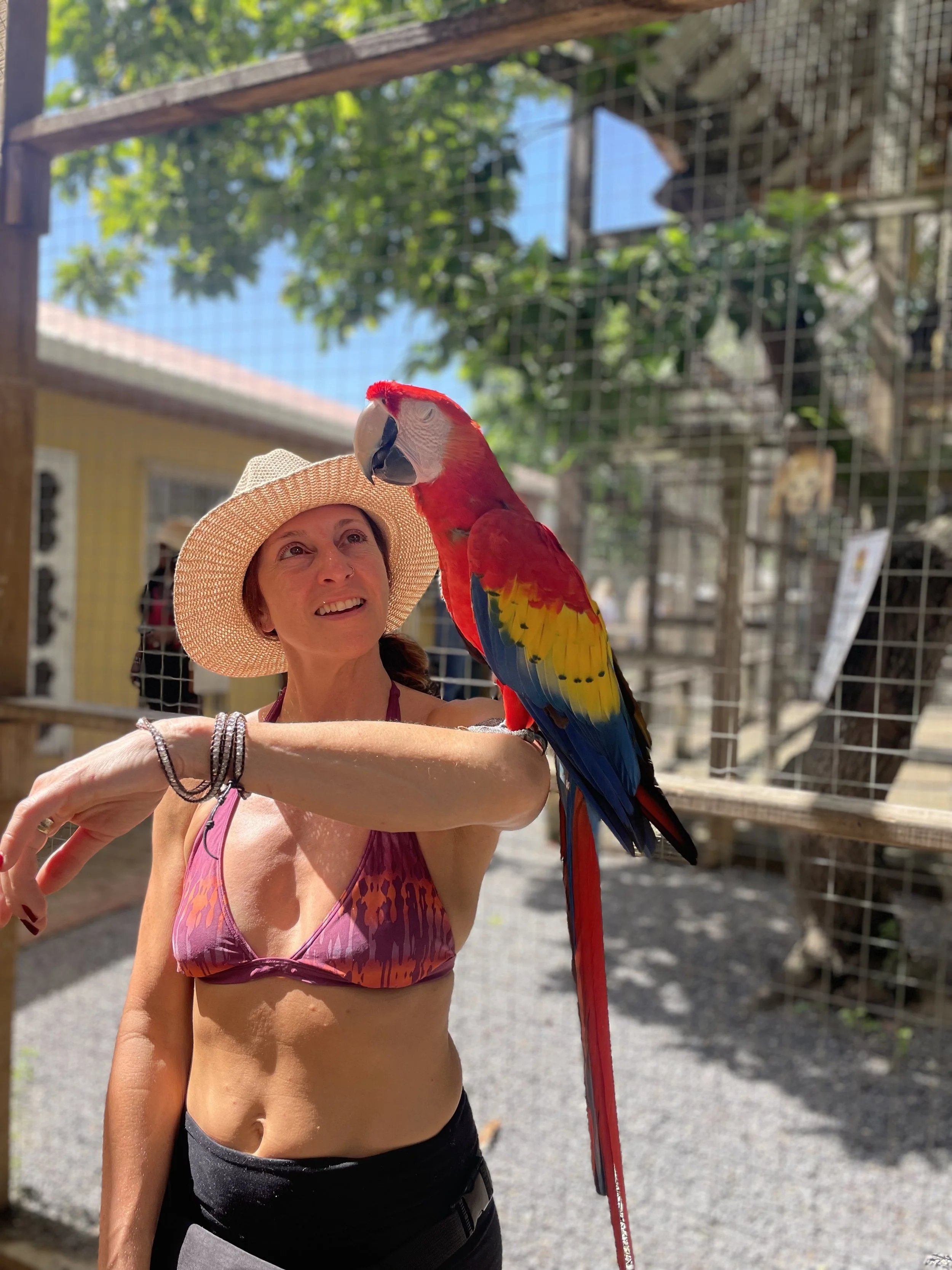 Woman in a straw hat holding a colorful parrot on her arm outdoors with a background of trees, a wooden fence, and a clear blue sky.