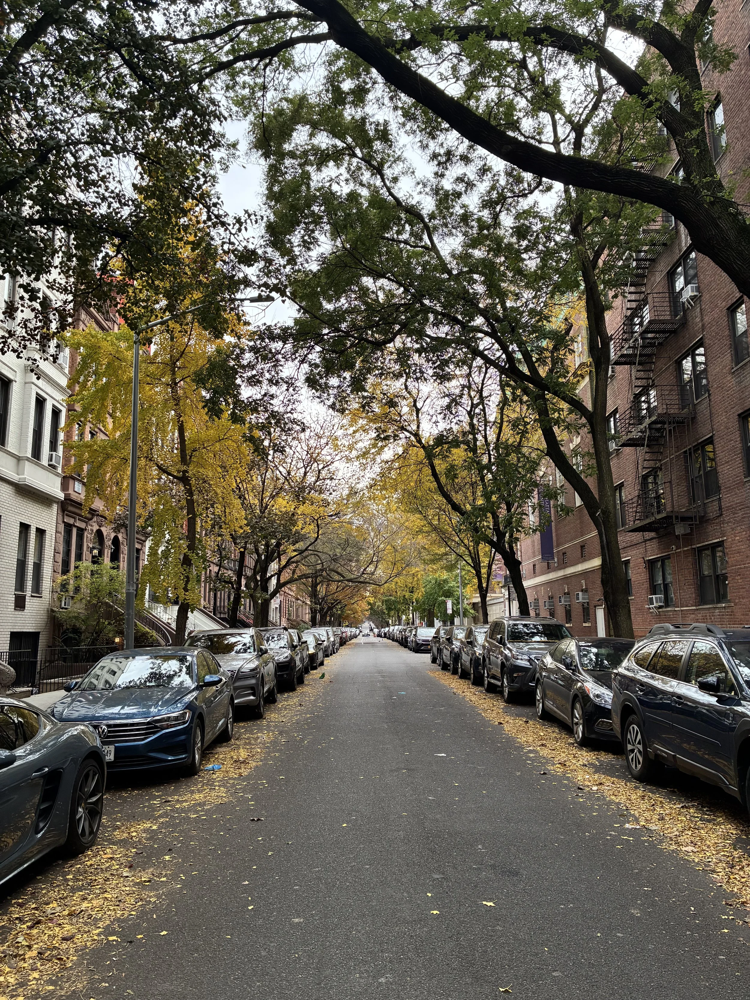Street scene with parked cars along both sides, lined with trees whose leaves are turning yellow and brown, indicating autumn. Multi-story apartment buildings with fire escapes line the street.
