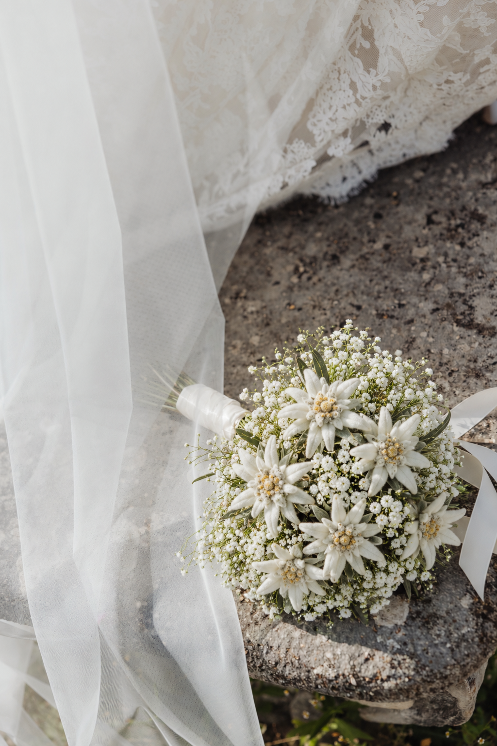 The Edelweiss Package